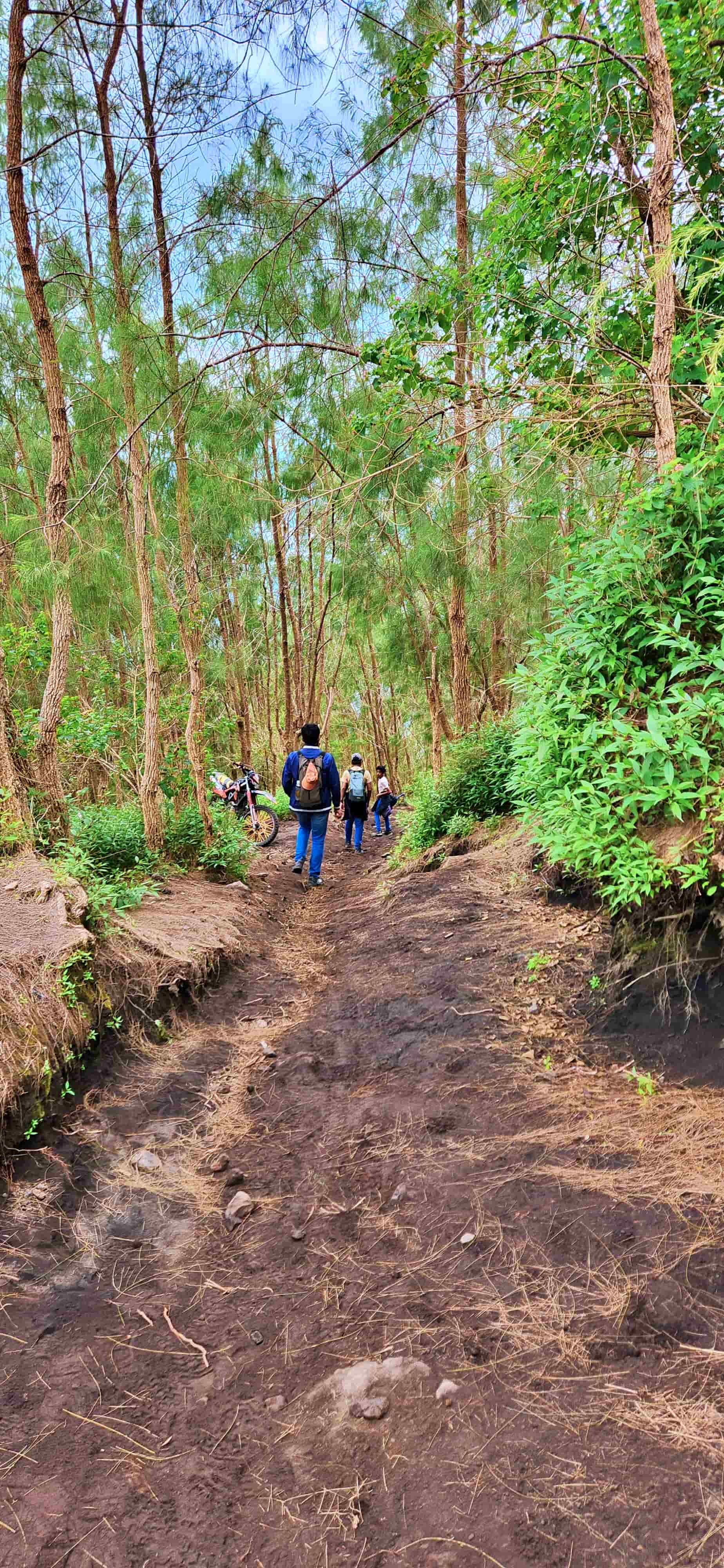Dirt Bike Route Descent on Mt Batur Sunrise Trek in Bali