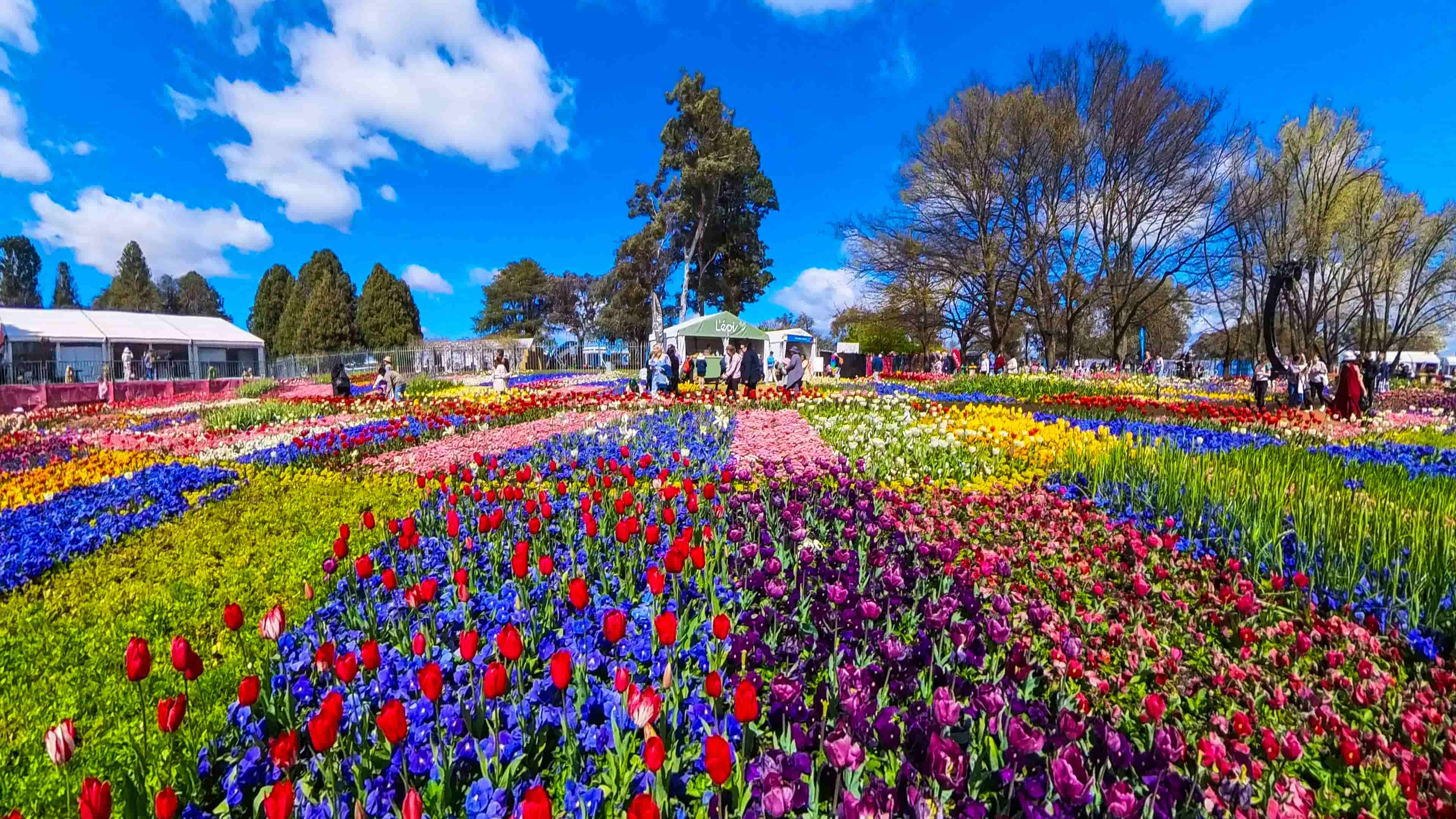Floriade @Commonwealth Park, Canberra
