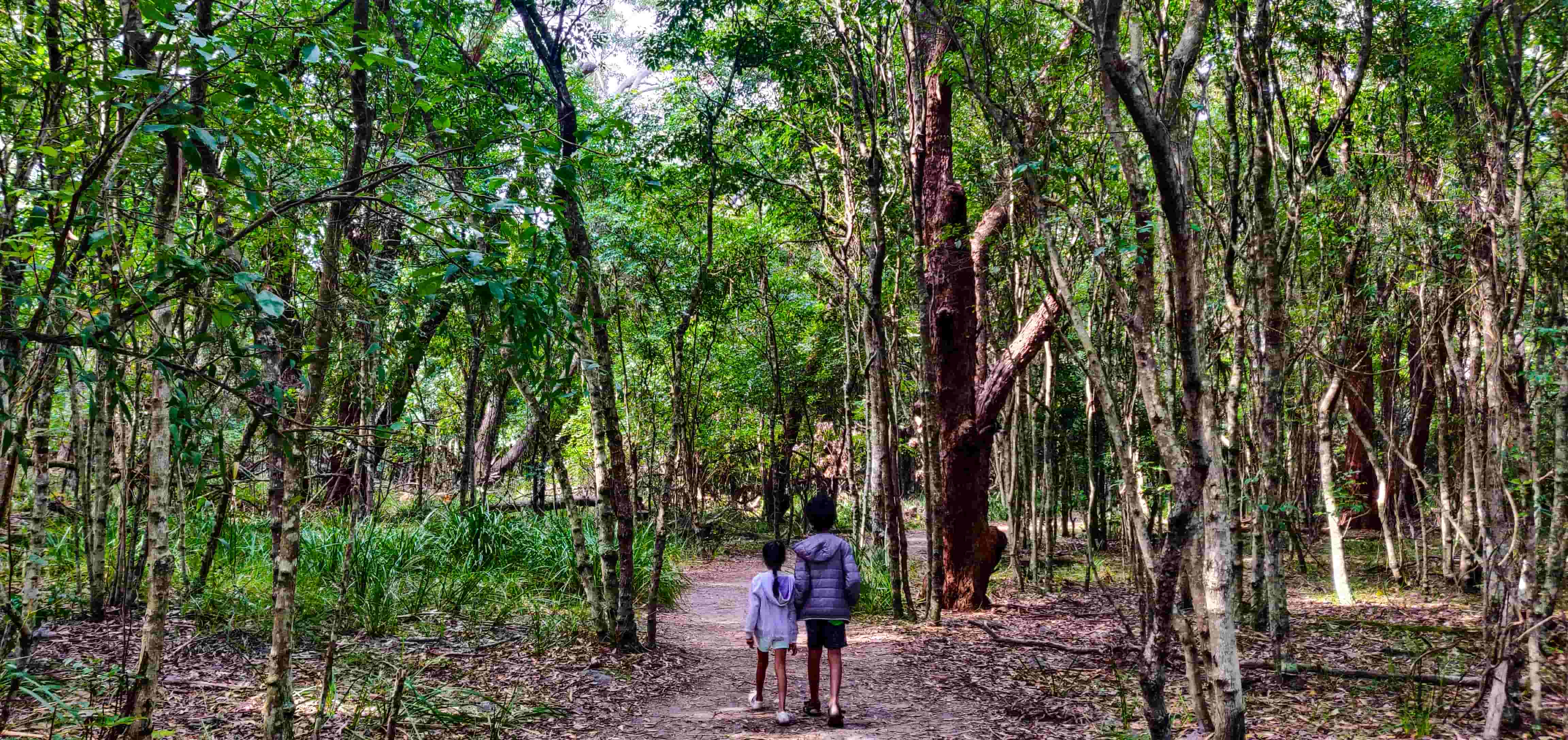 Murrays Beach Walking Trail
