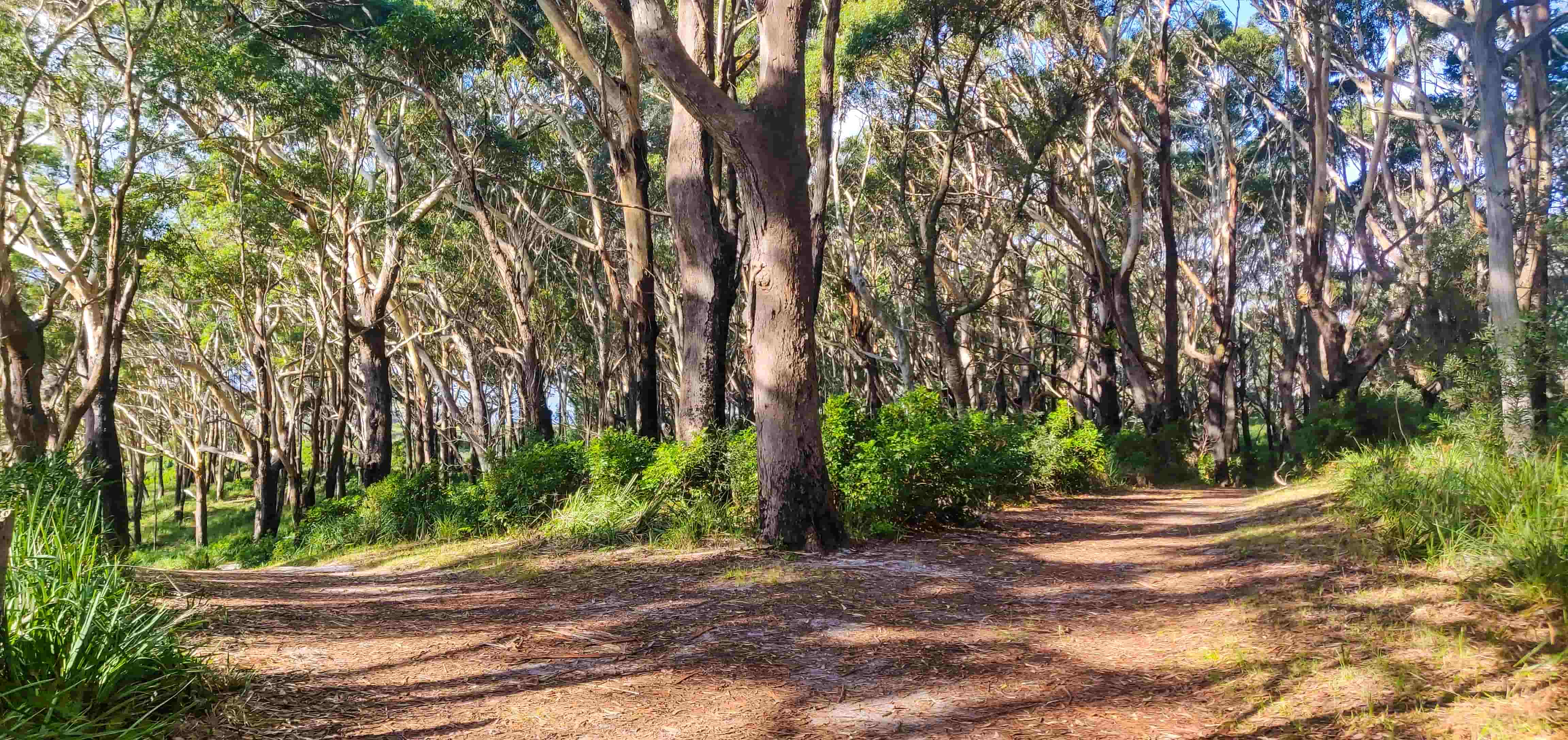 Governors Head Walking Trail