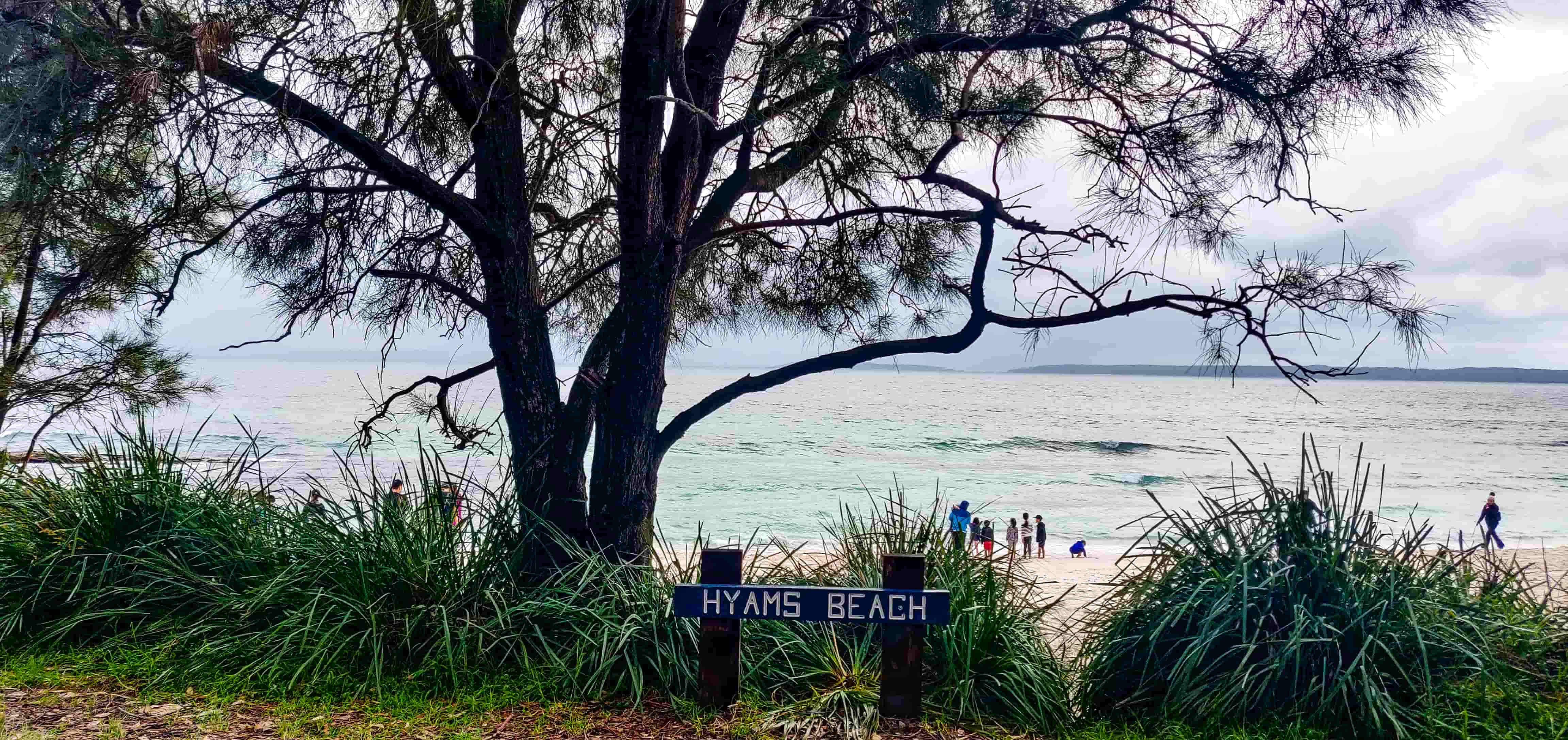 Hyams Beach Signpost
