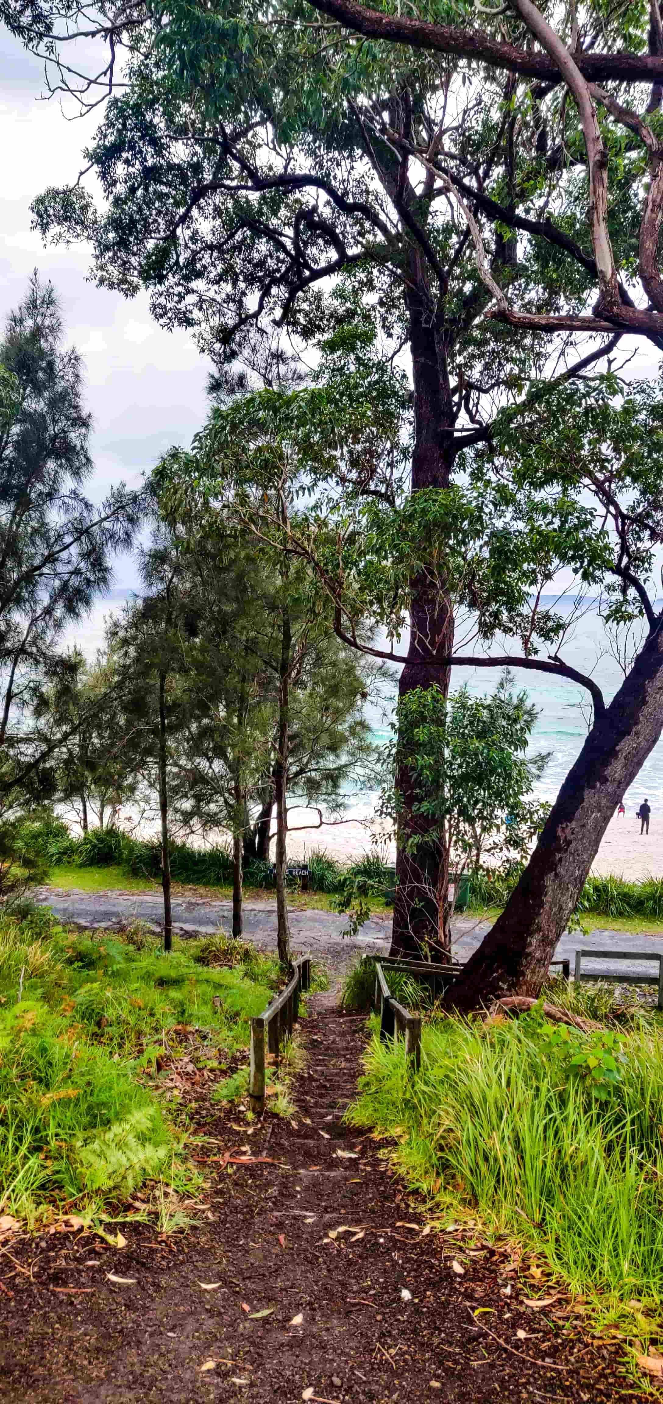 Hyams Beach Staircase