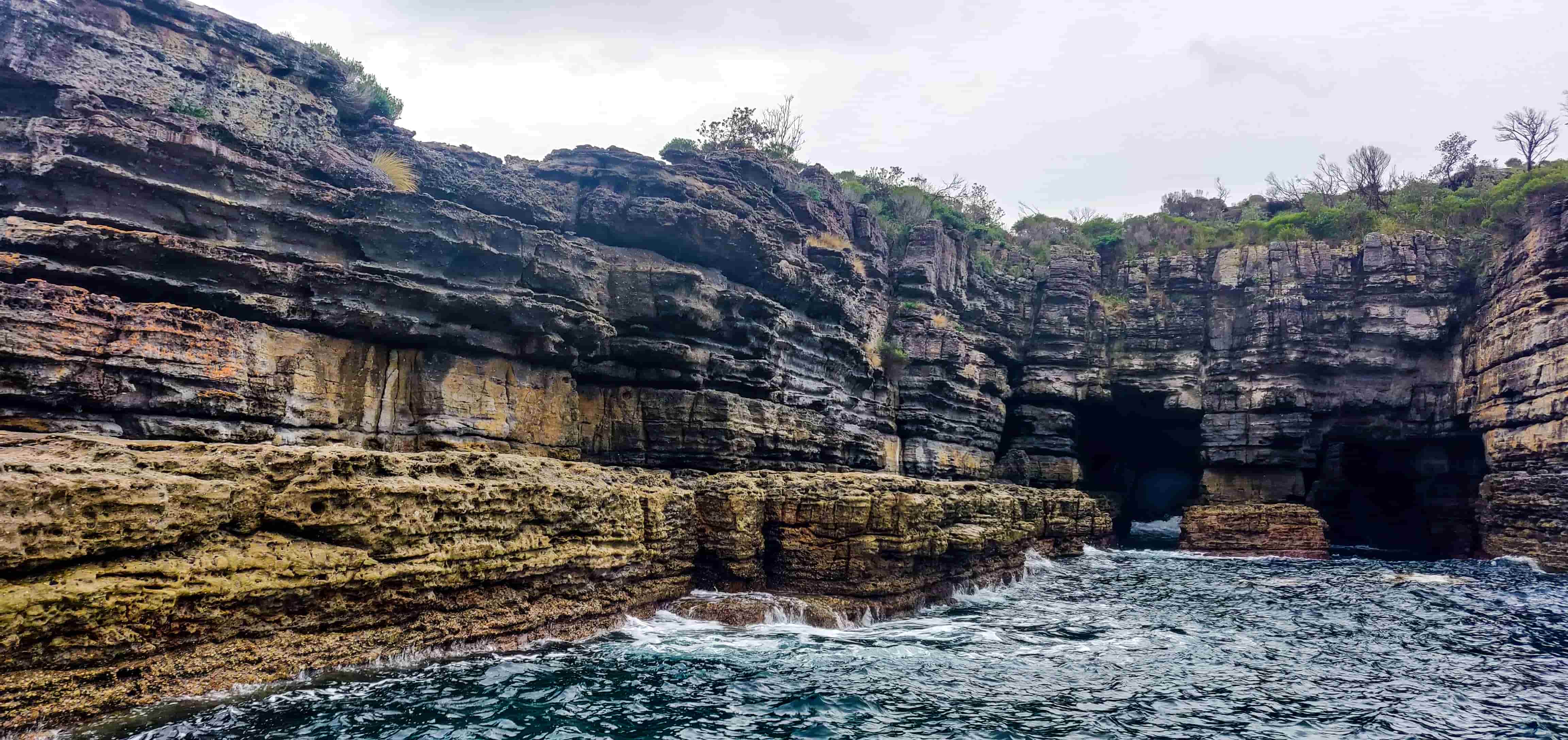 Jervis Bay Passage Tour