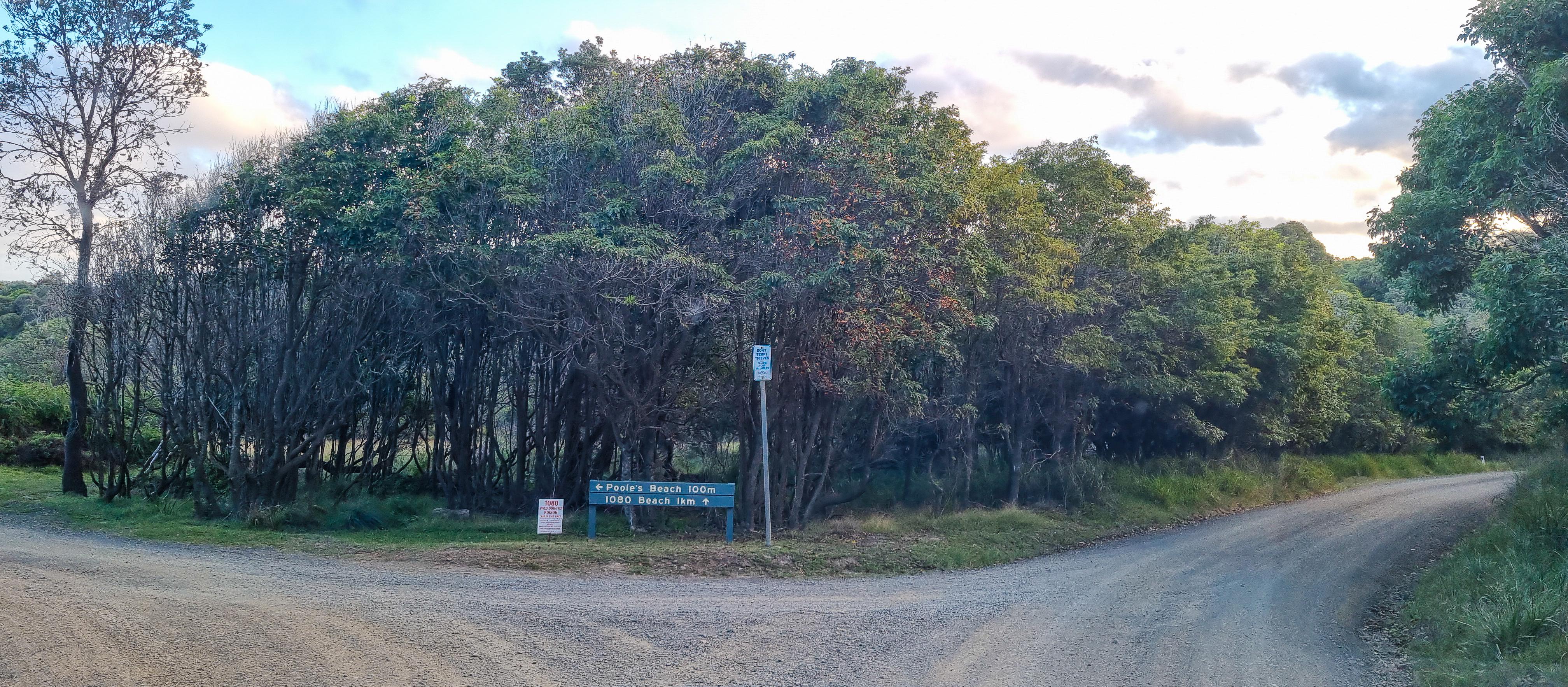 Unsealed Road to 1080 Beach