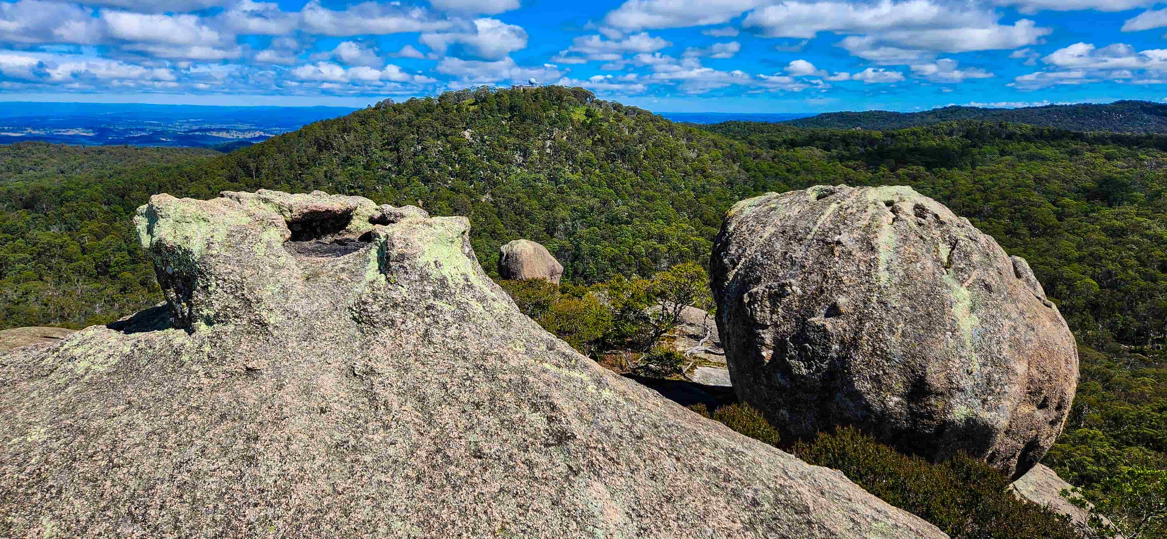 View of Round Mountain atop Cathedral Rock Lookout, Ebor