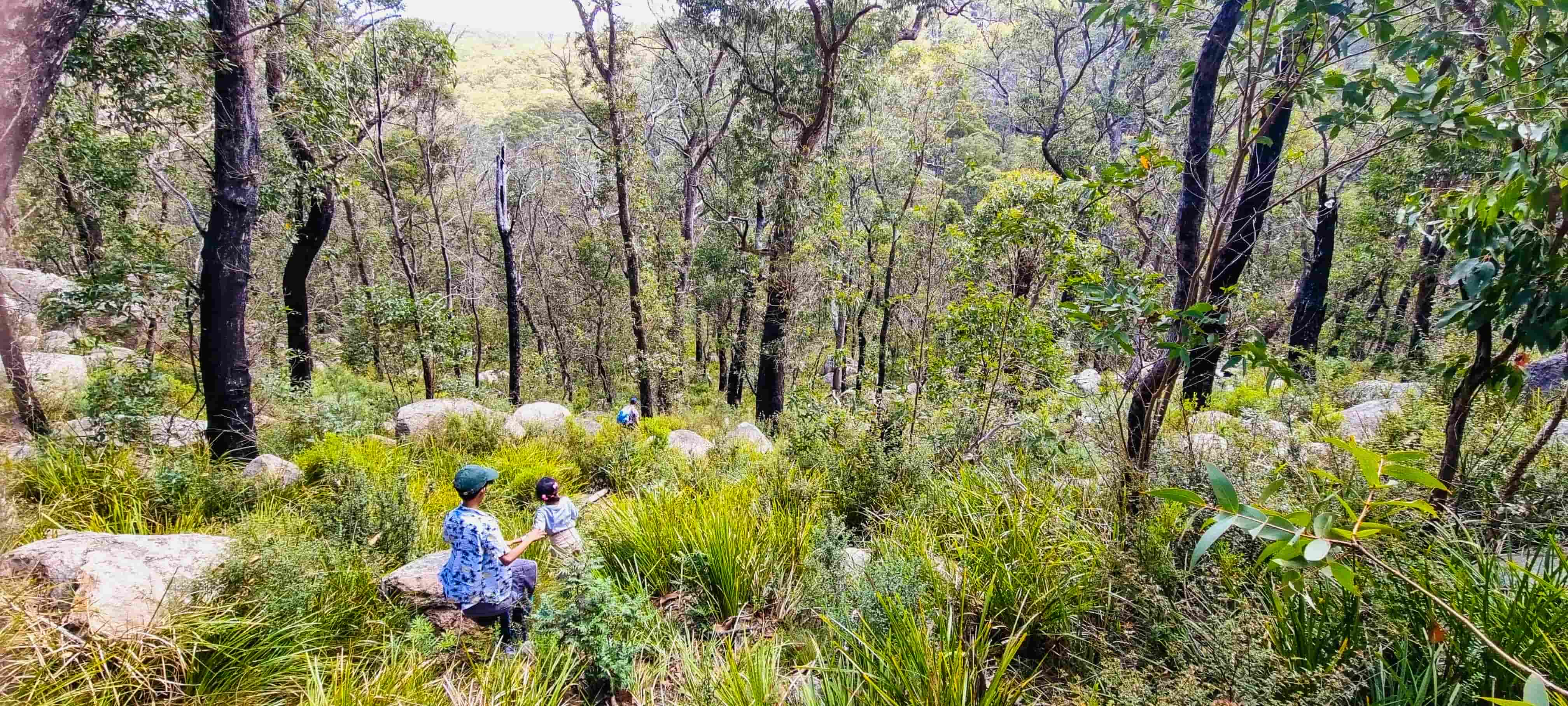 Cathedral Rock Lookout Return Walk
