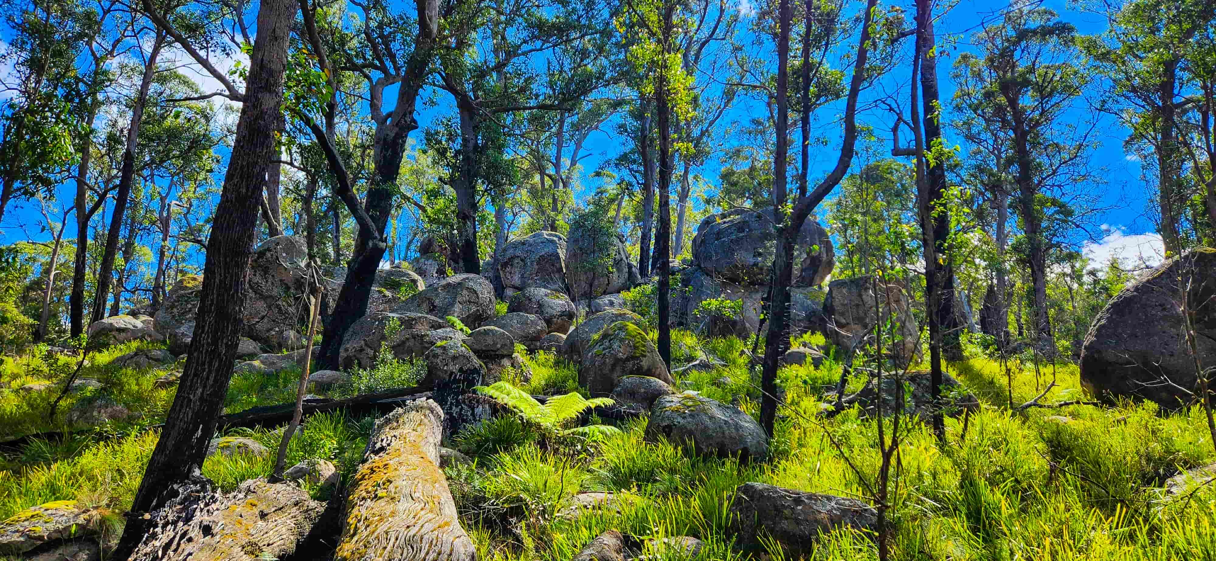 Rocks and Boulders on the Cathedral Rock Track
