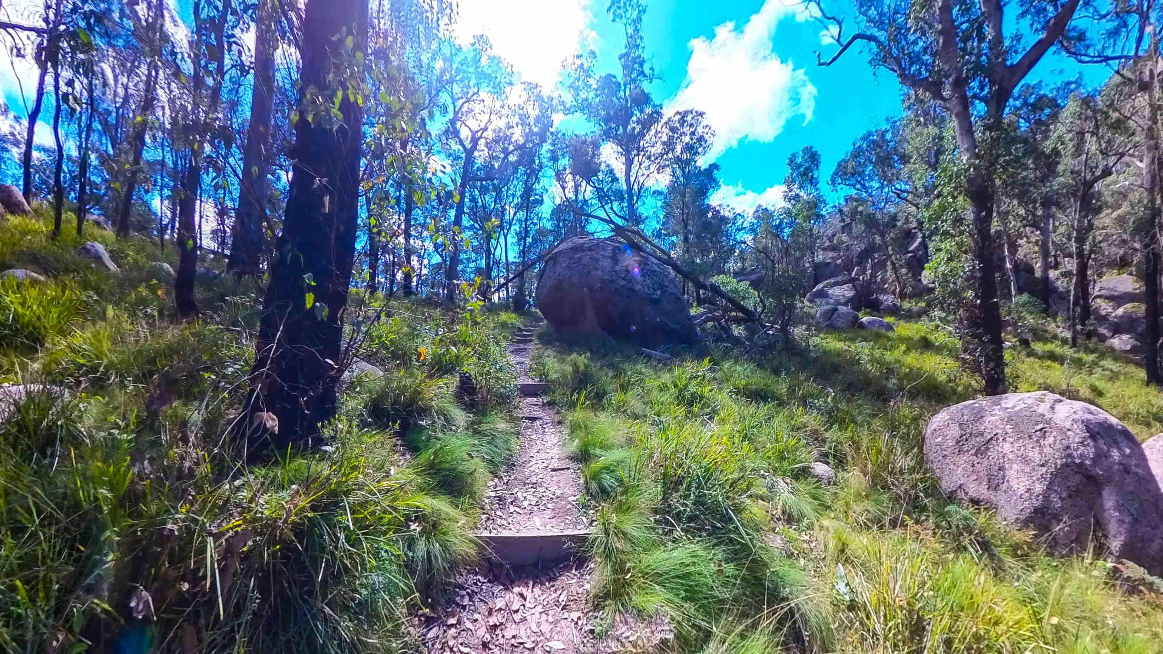 Cathedral Rock Track