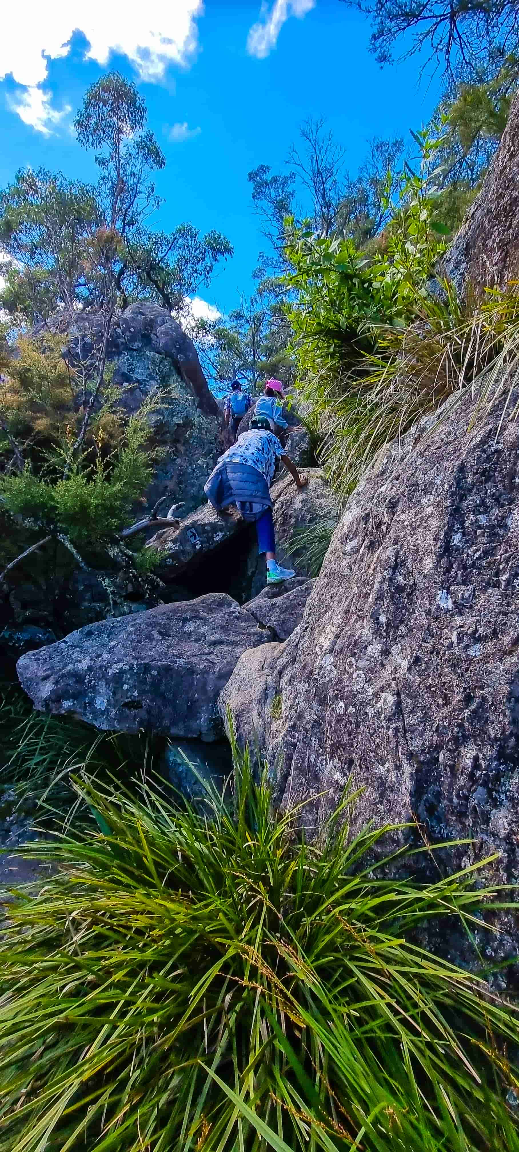 Cathedral Rock Lookout Track - Grade 5 Rock-hopping