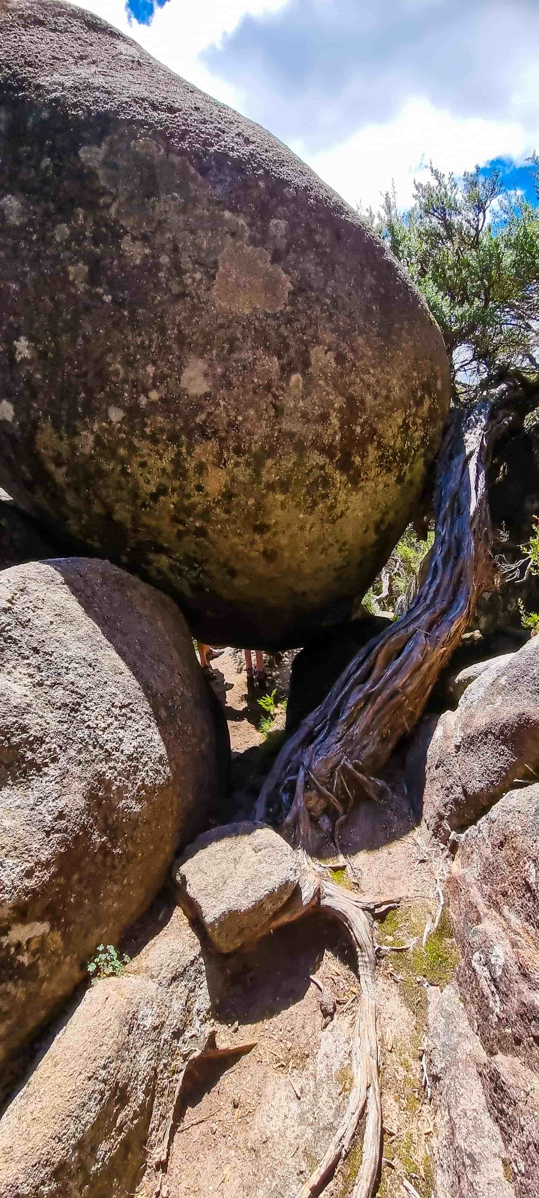 Cathedral Rock Lookout Track - Walk through Crevices