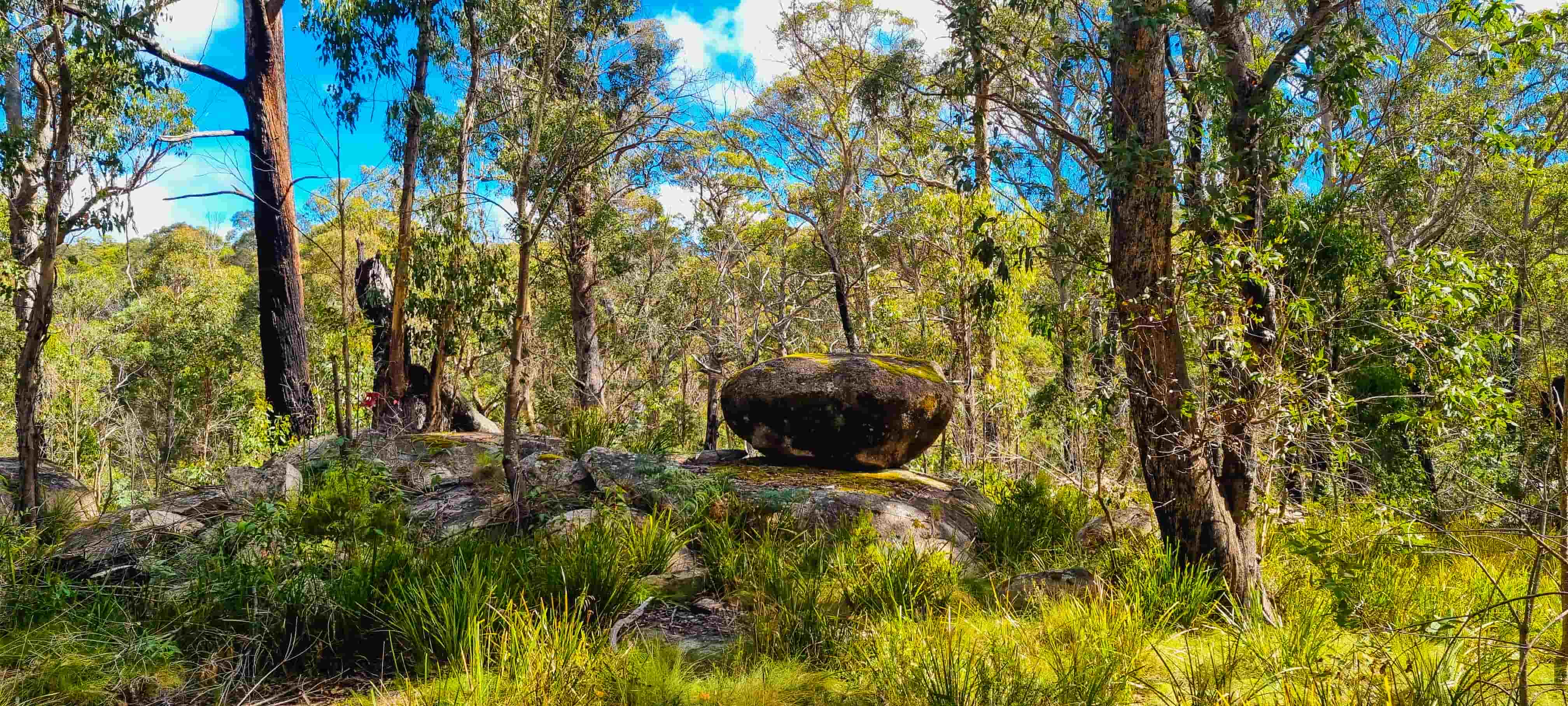Unique Rock Formations on Cathedral Rock Track
