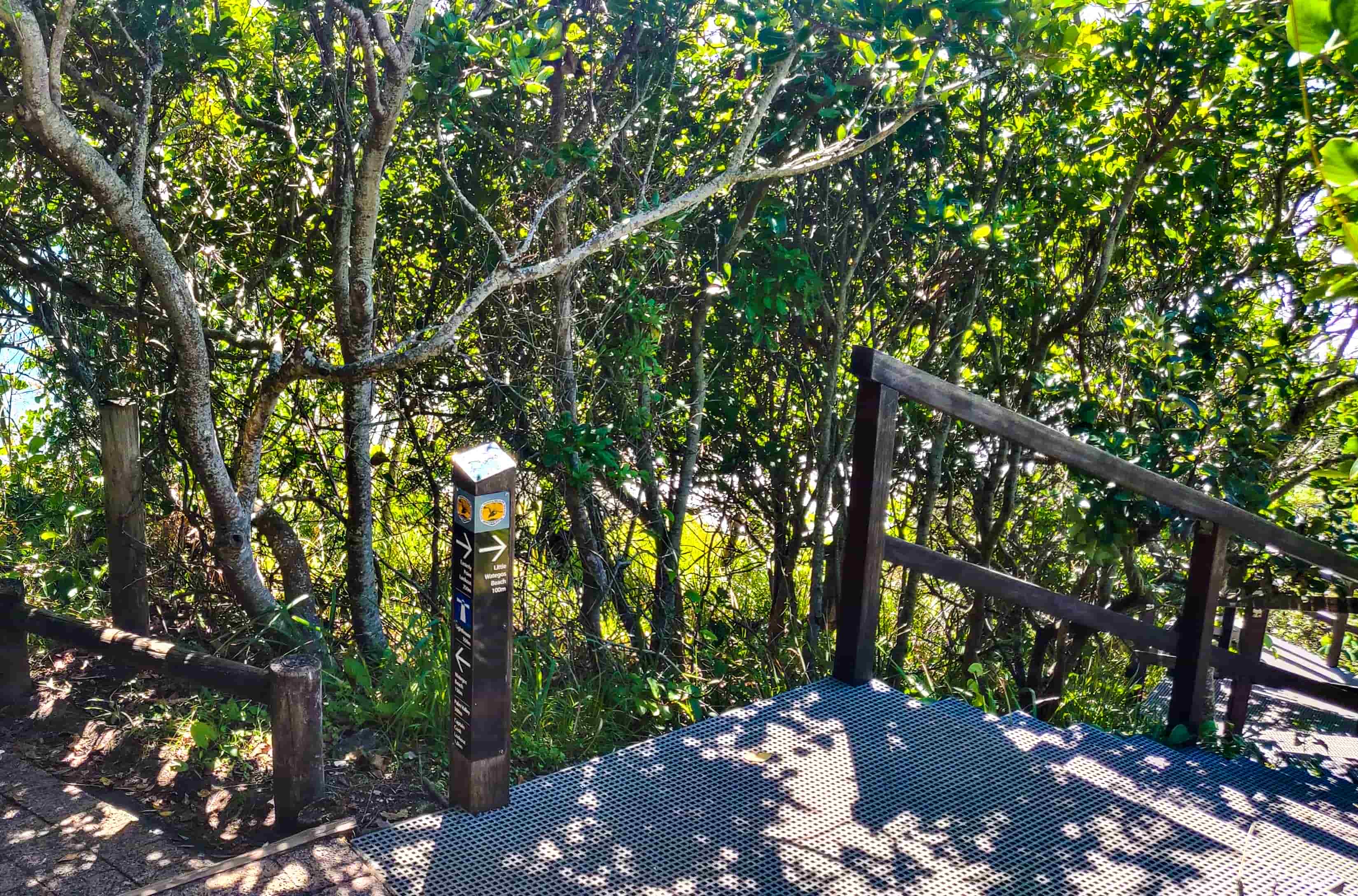 Wategos & Little Wategos Beach Intersection