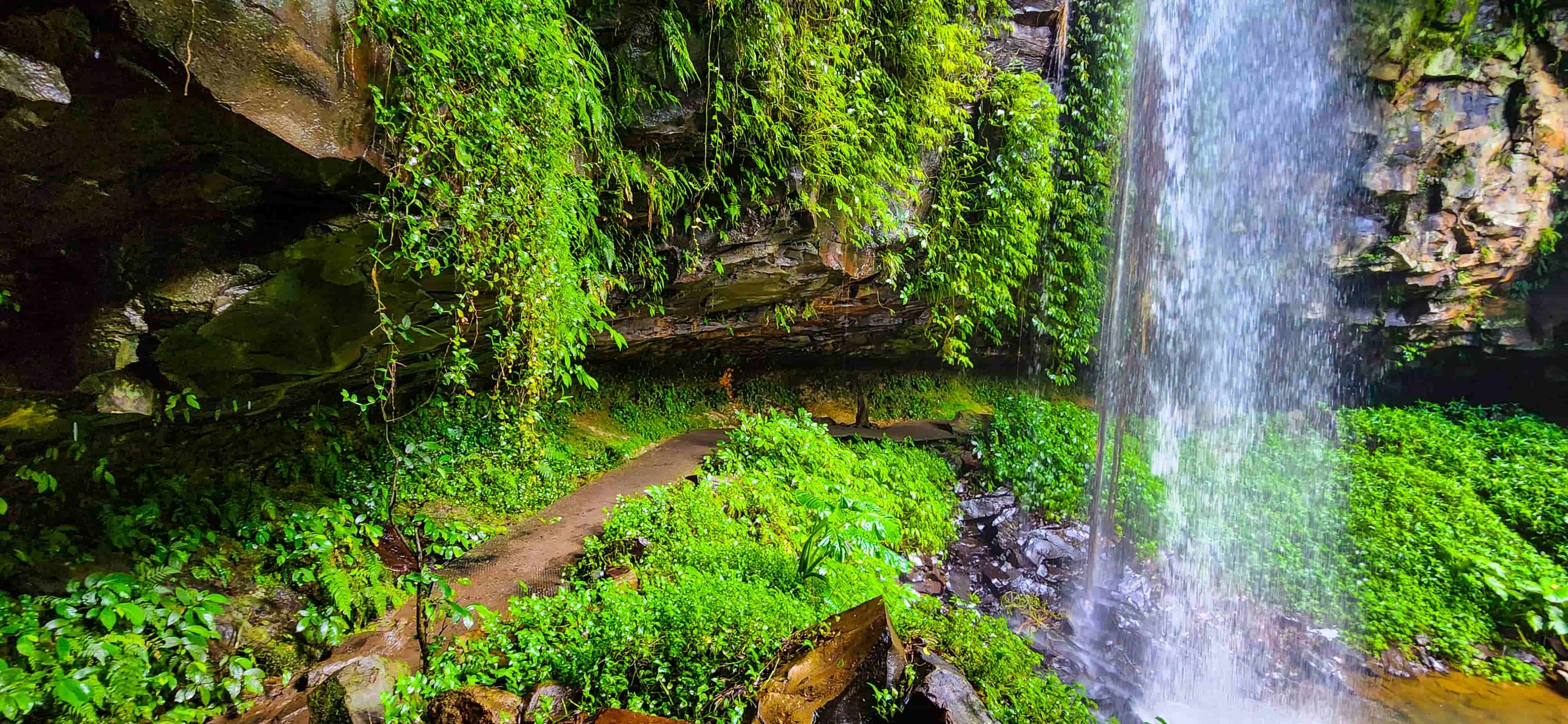 Access to the back of Crystal Shower Falls