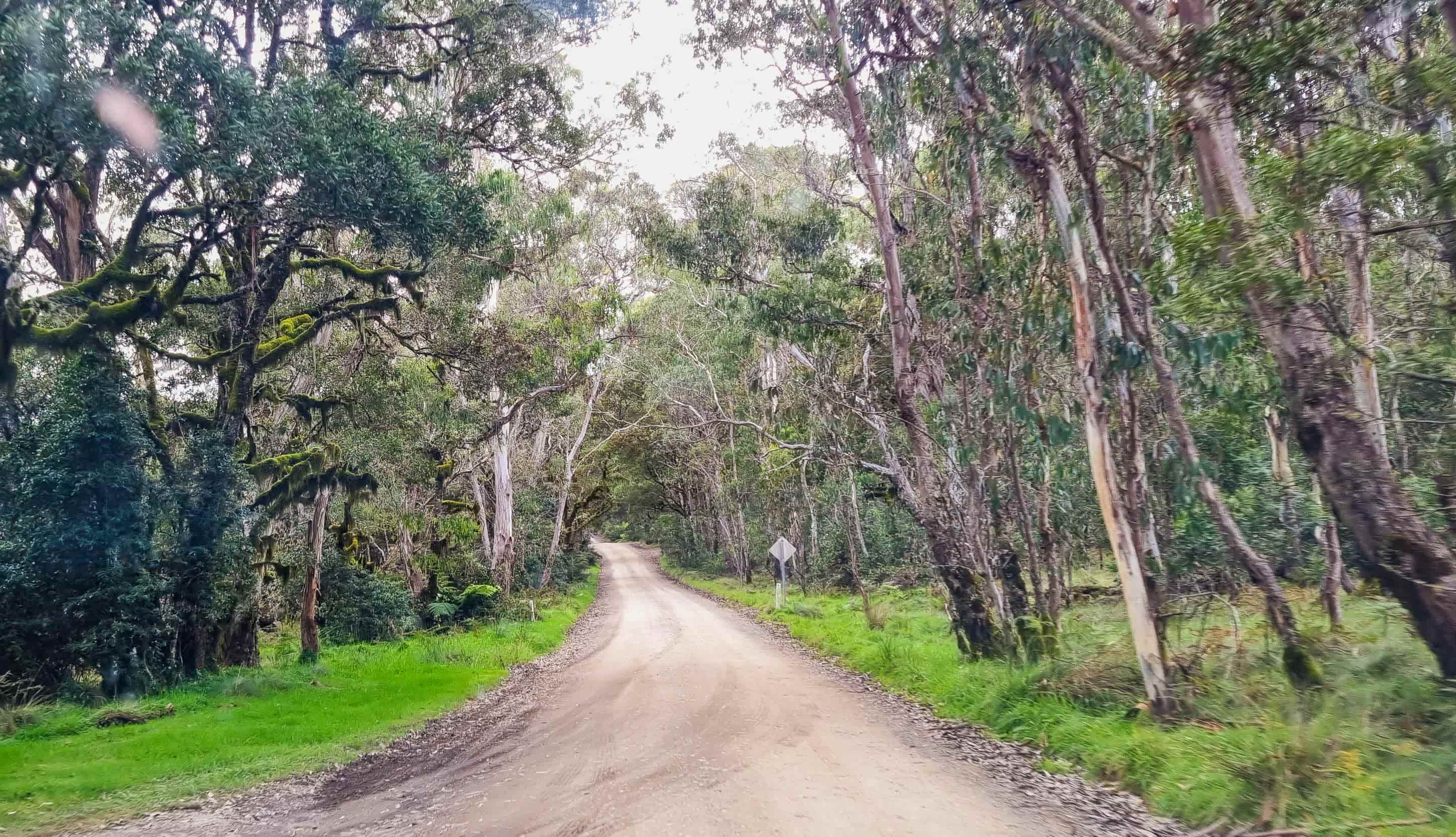 Unsealed road to Point Lookout