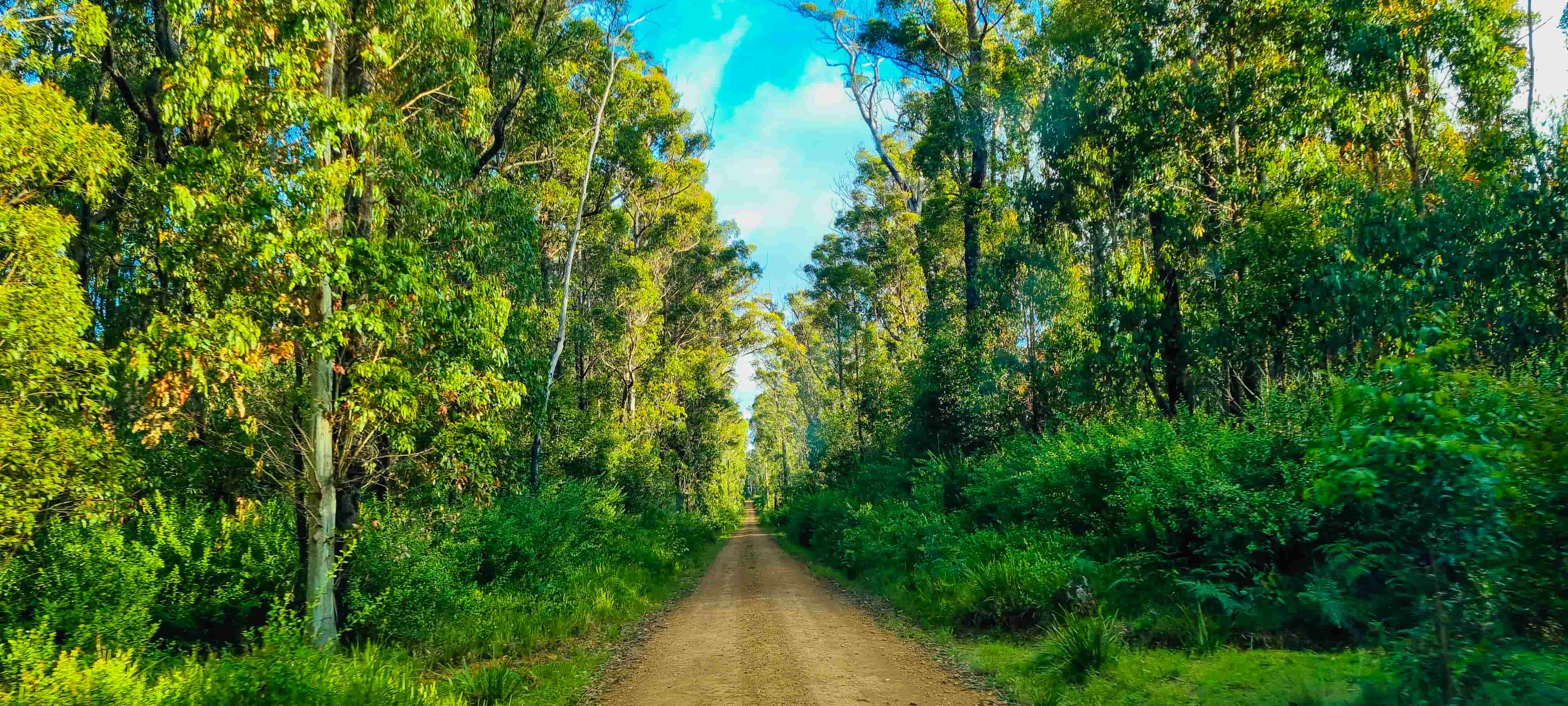 Kempsey Road to Armidale