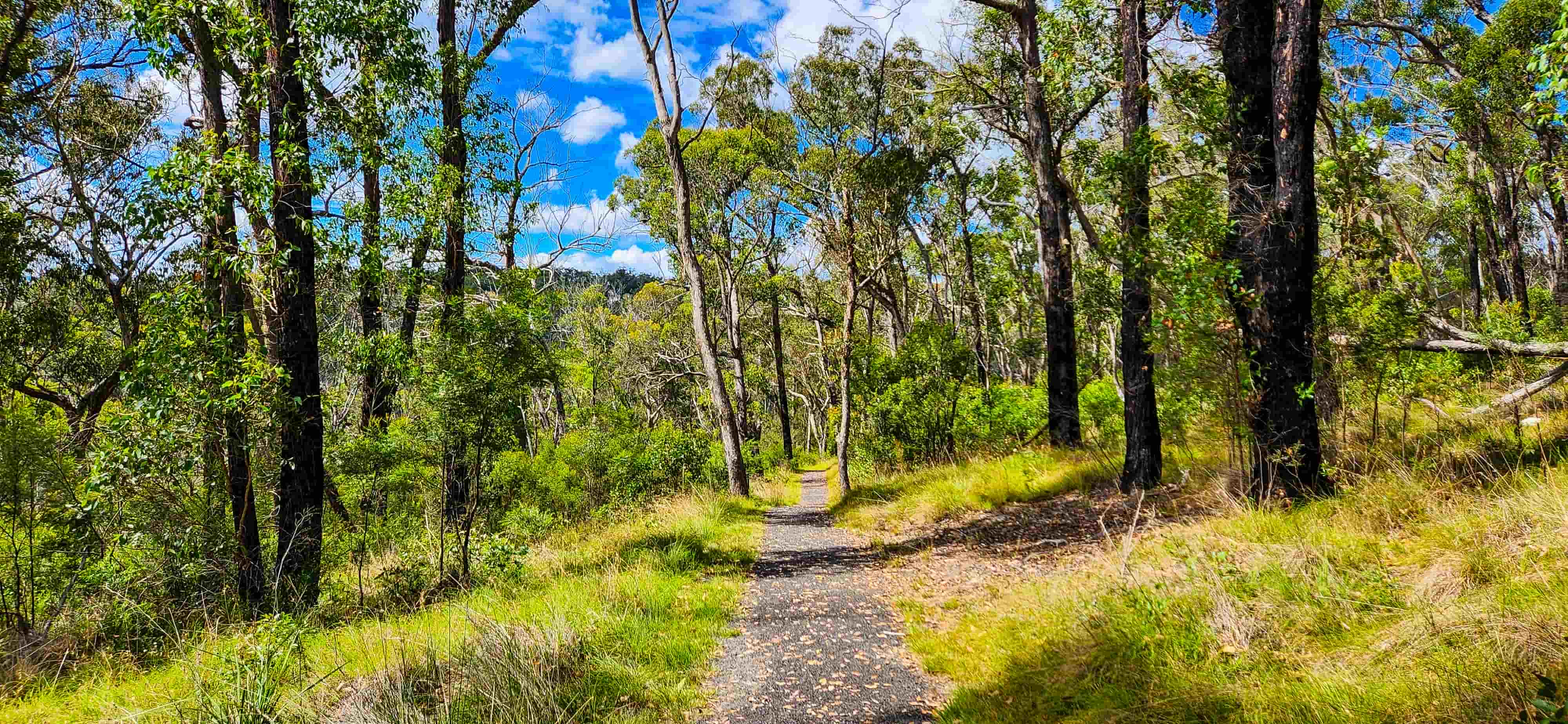 Tia Falls Walking Track