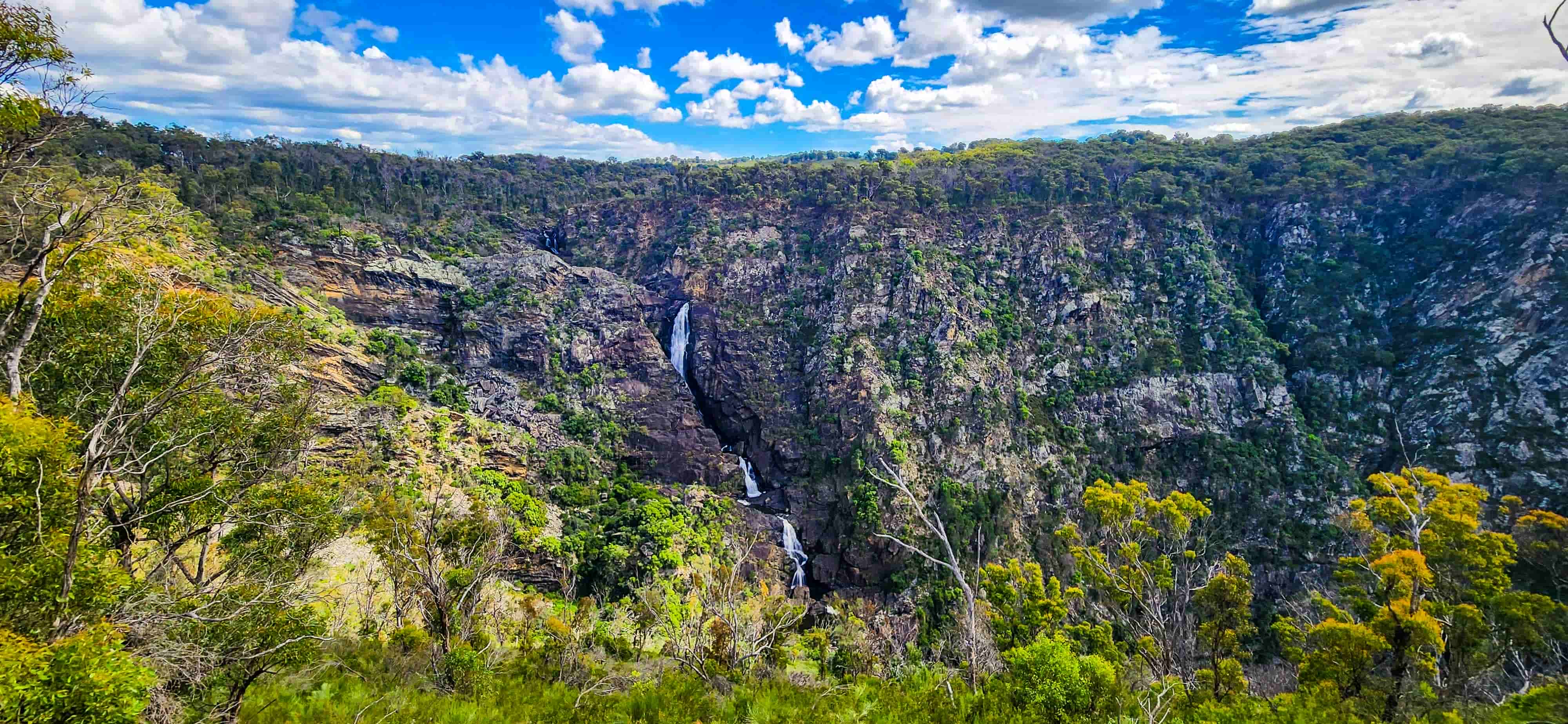 Tia Falls