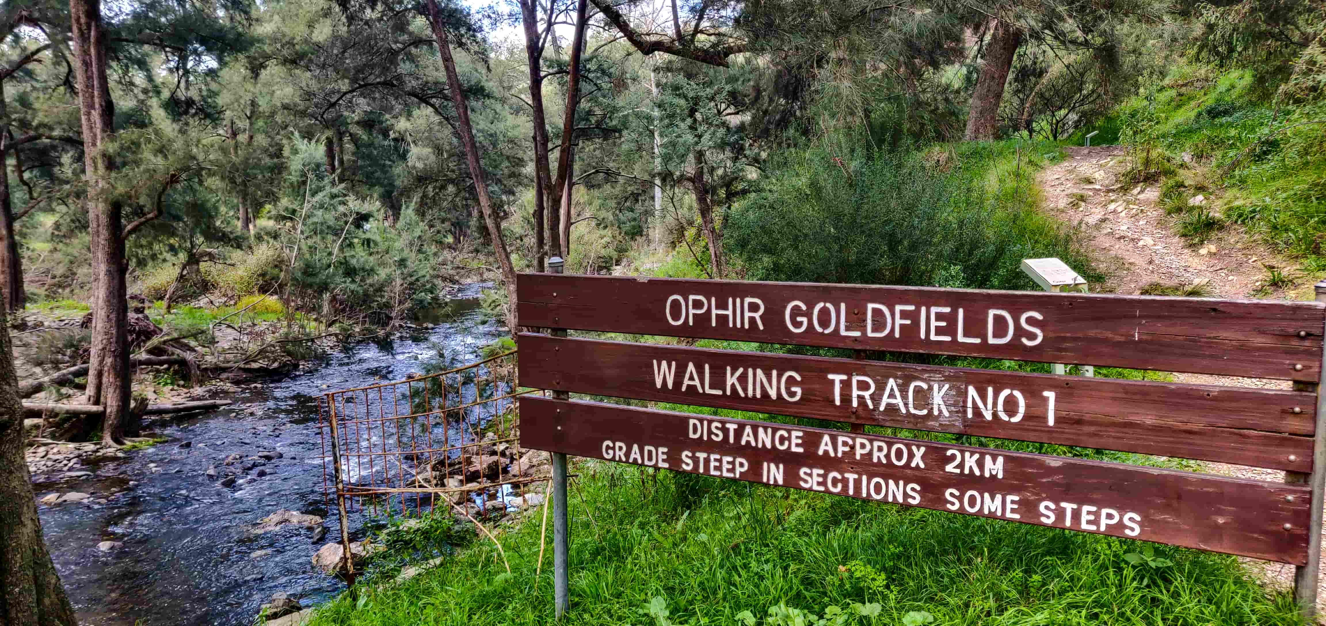 Ophir Campground