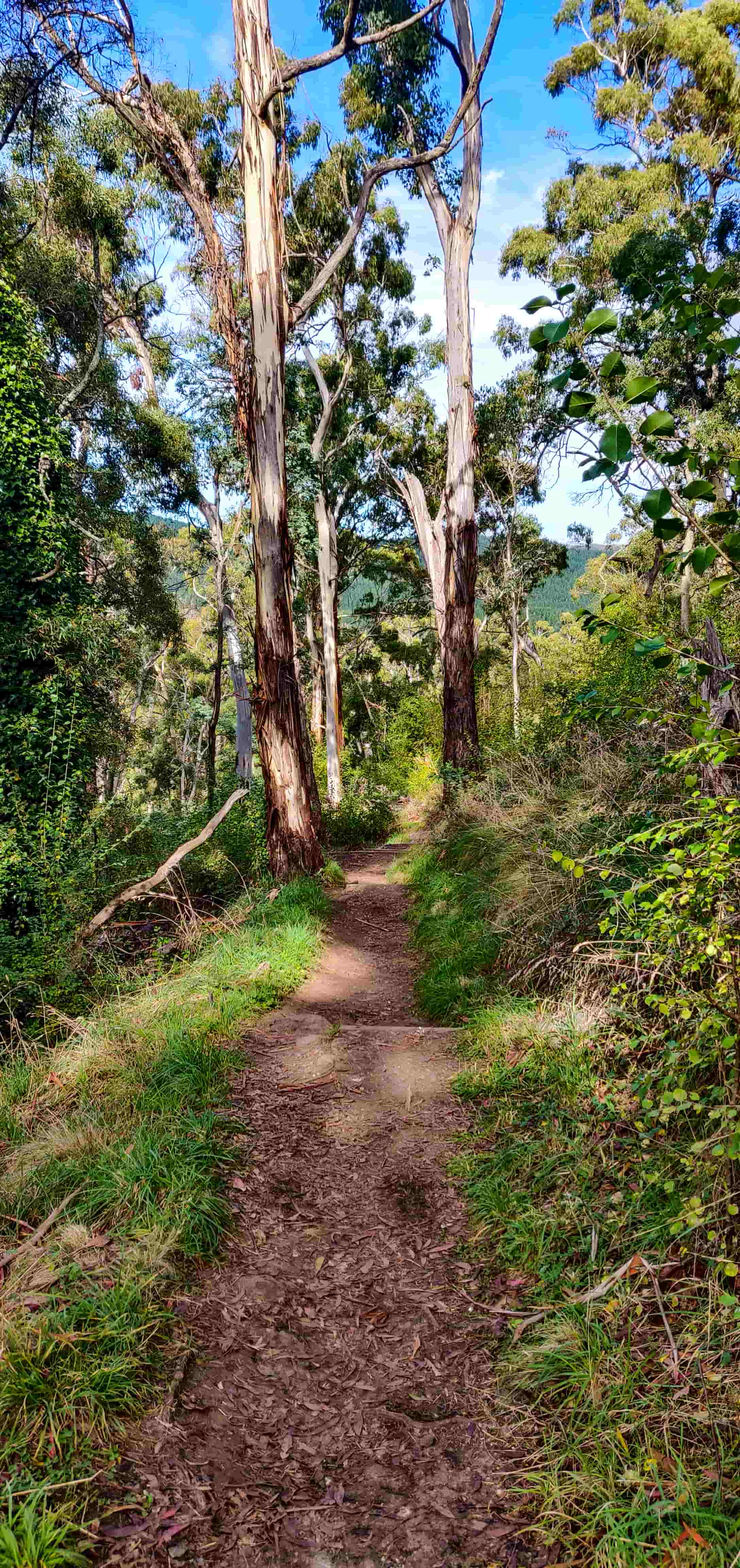 Pinnacle Lookout, Orange, NSW