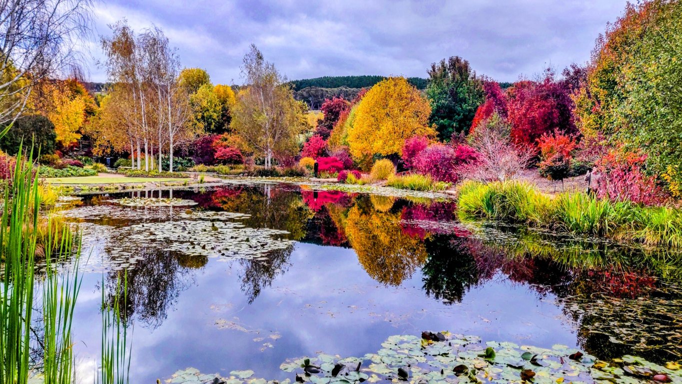 Mayfield Garden, Oberon, NSW