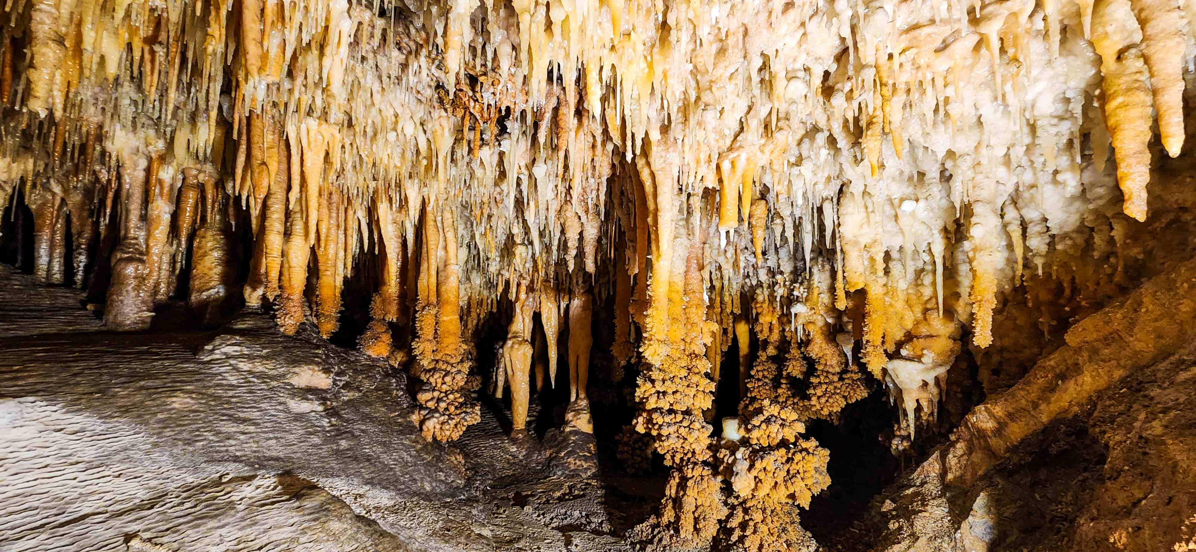 Jillabenan Cave, Yarrangobilly Caves