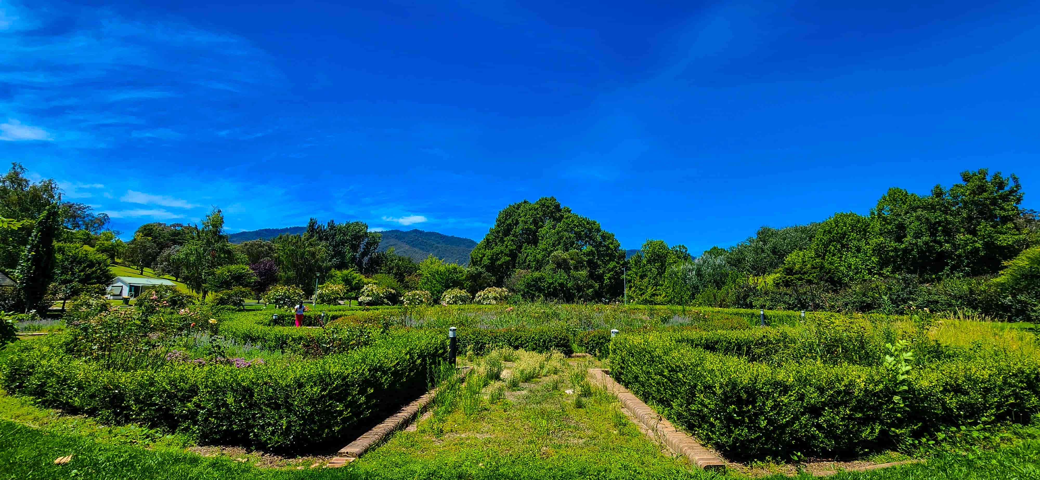 Khancoban Rose Garden