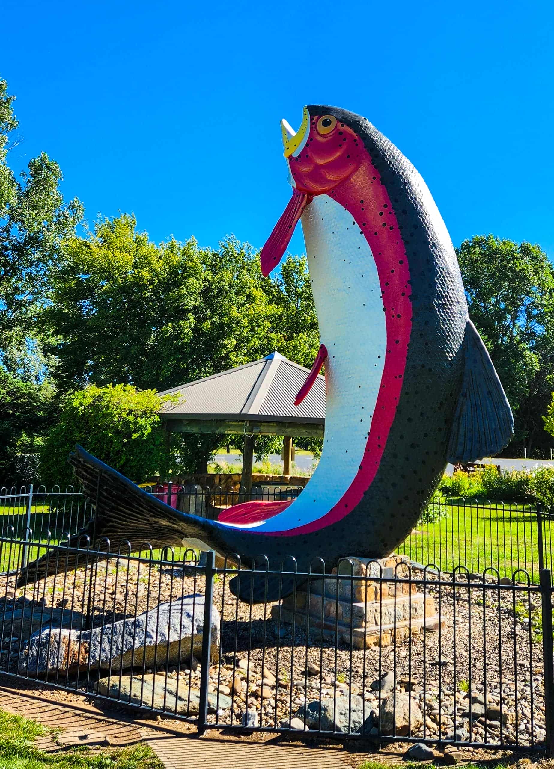 The Big Trout in Adaminaby