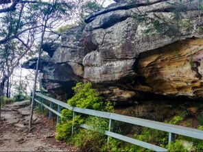 Aboriginal Heritage Walk in Ku-ring-gai Chase