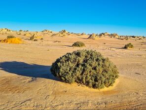 7-8-mungo-sunset-tour_4