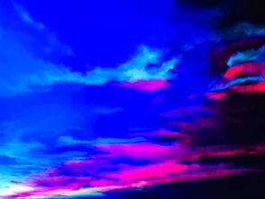 borealis-in-the-vines-1_1