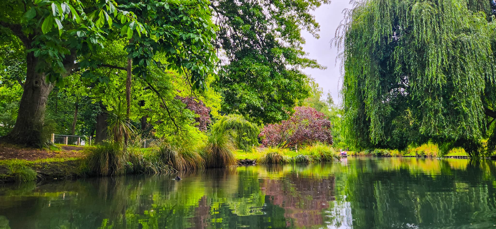 Views along punting on the Avon