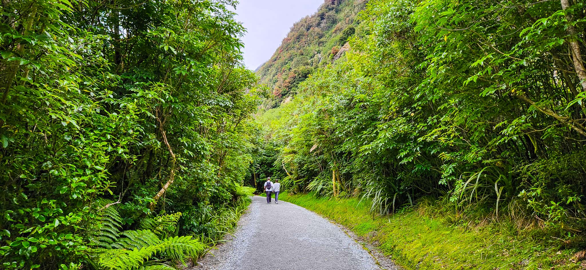 Franz Josef Valley Walk