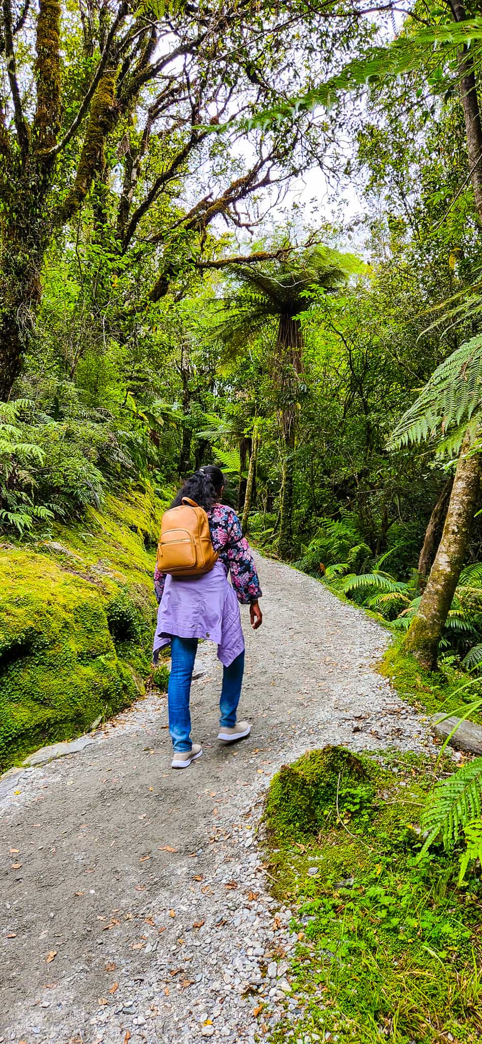 Uphill along Sentinel Rock Walk in Franz Josef