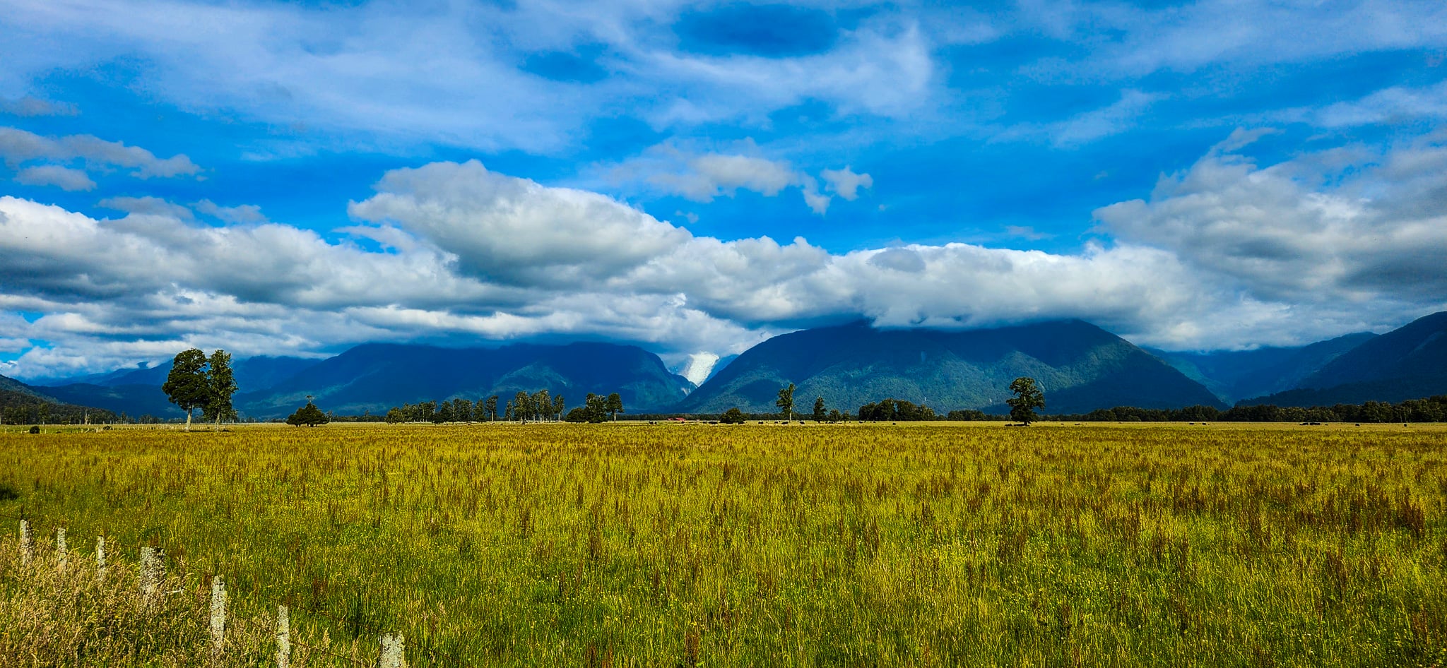 Views of Fox Glacier