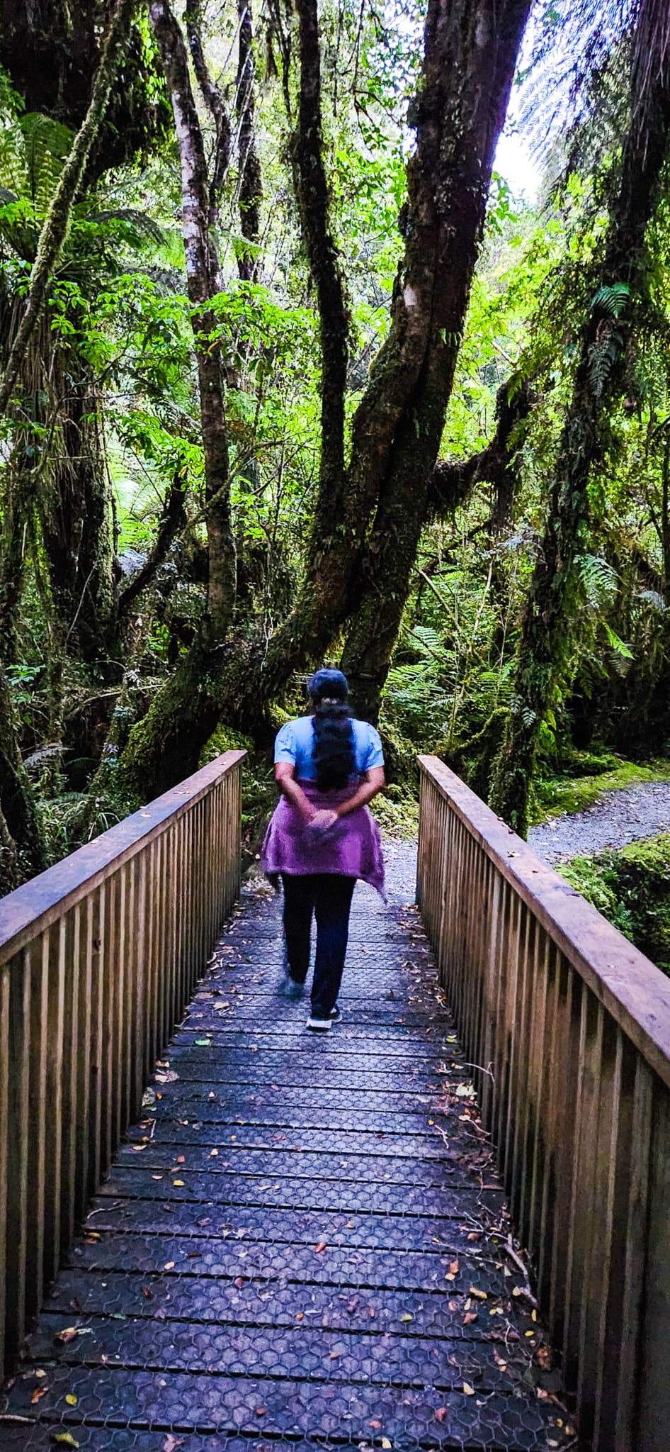 Minnehaha Track Walk