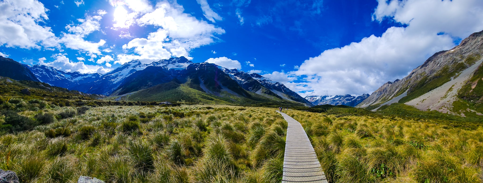 Boardwalk along tussock fields