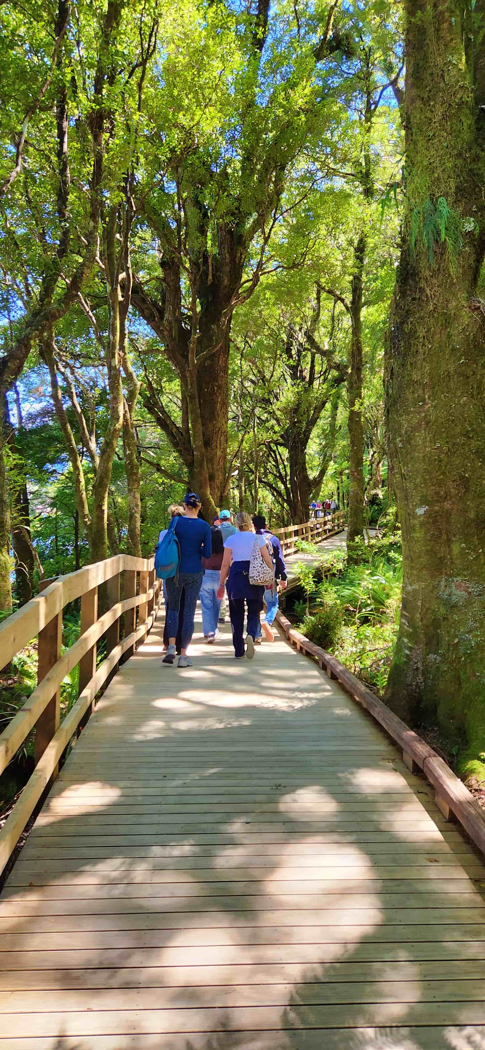 On the way to Milford Sound Visitor Terminal