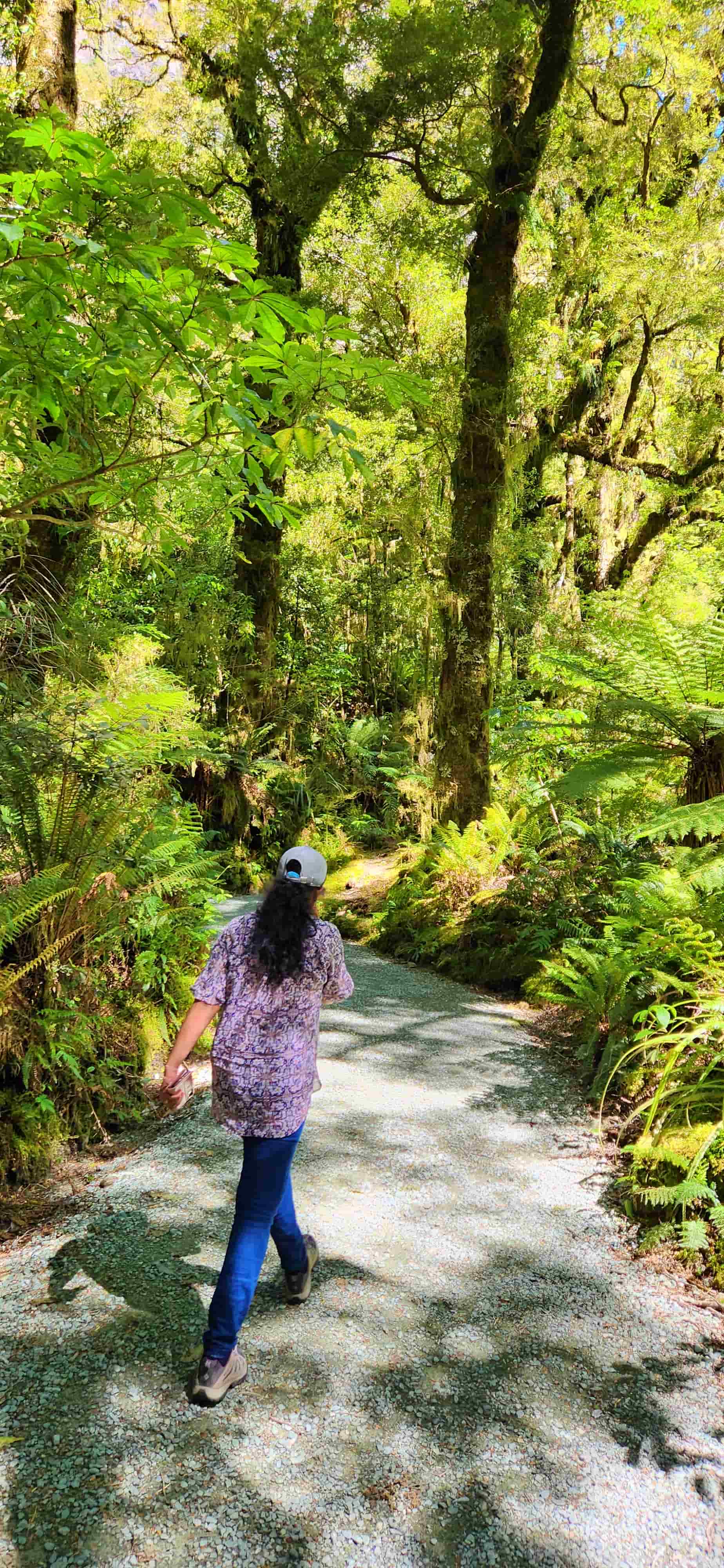 The Chasm along Milford Sound Hwy