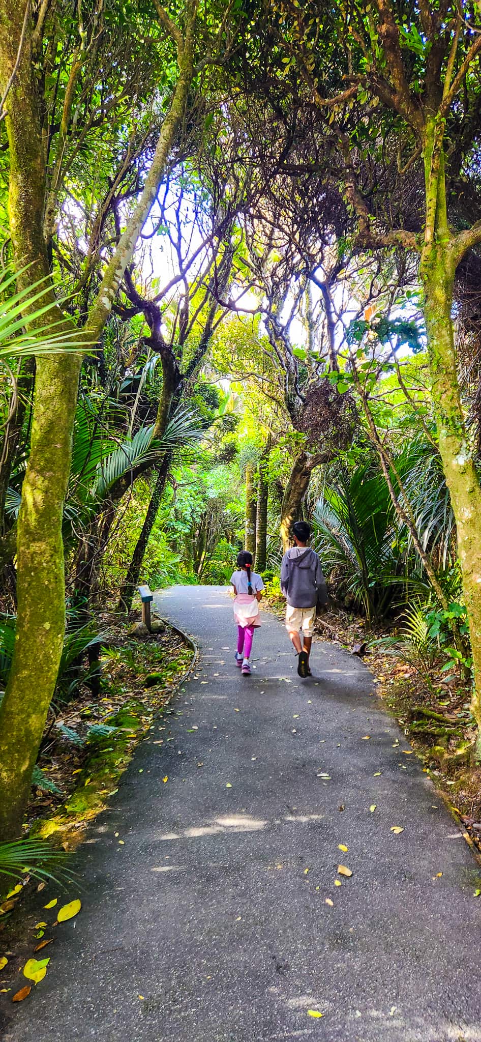 Pancake Rocks Walking Trail