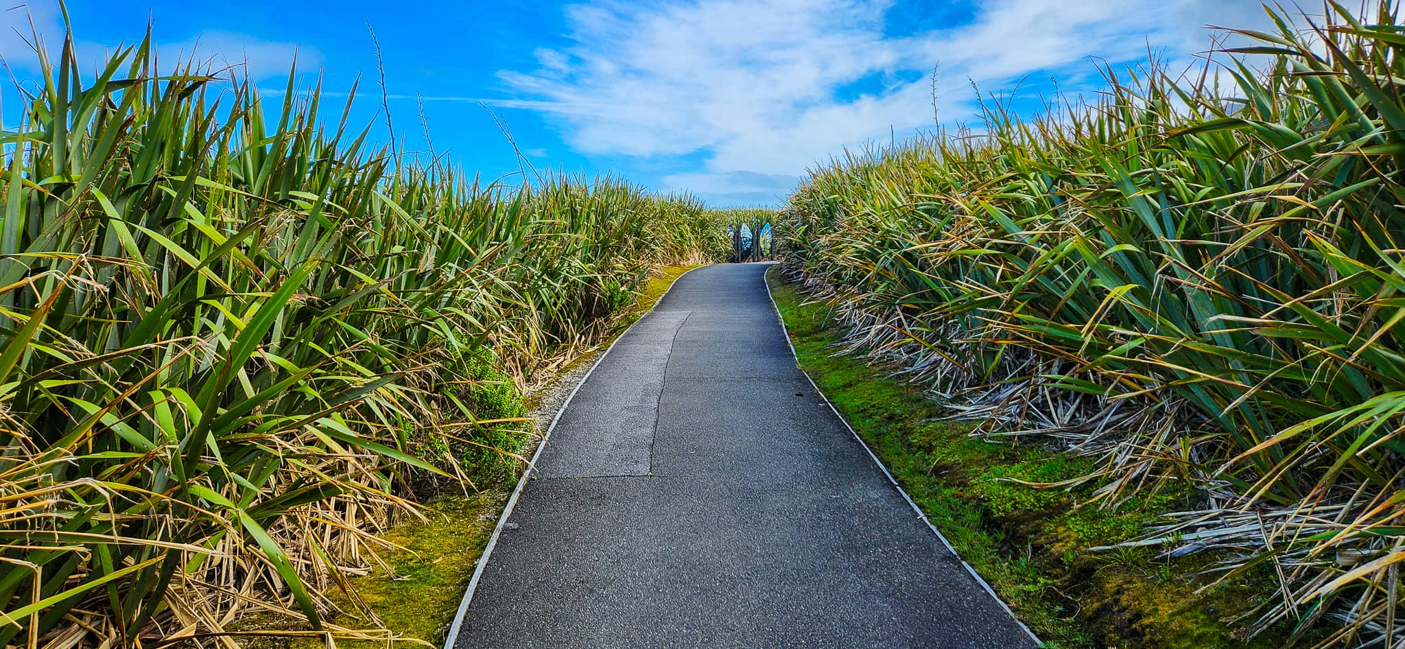 Punakaiki Pancake Rocks Blowholes Walking Track