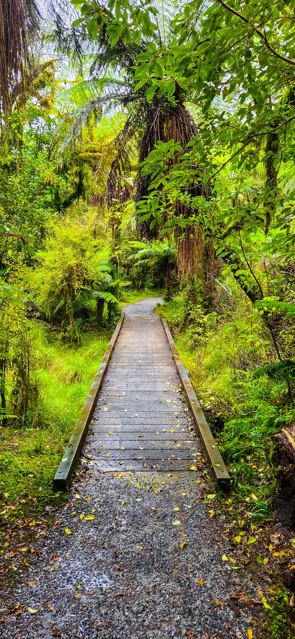 Roaring Billy Falls Walking Trail