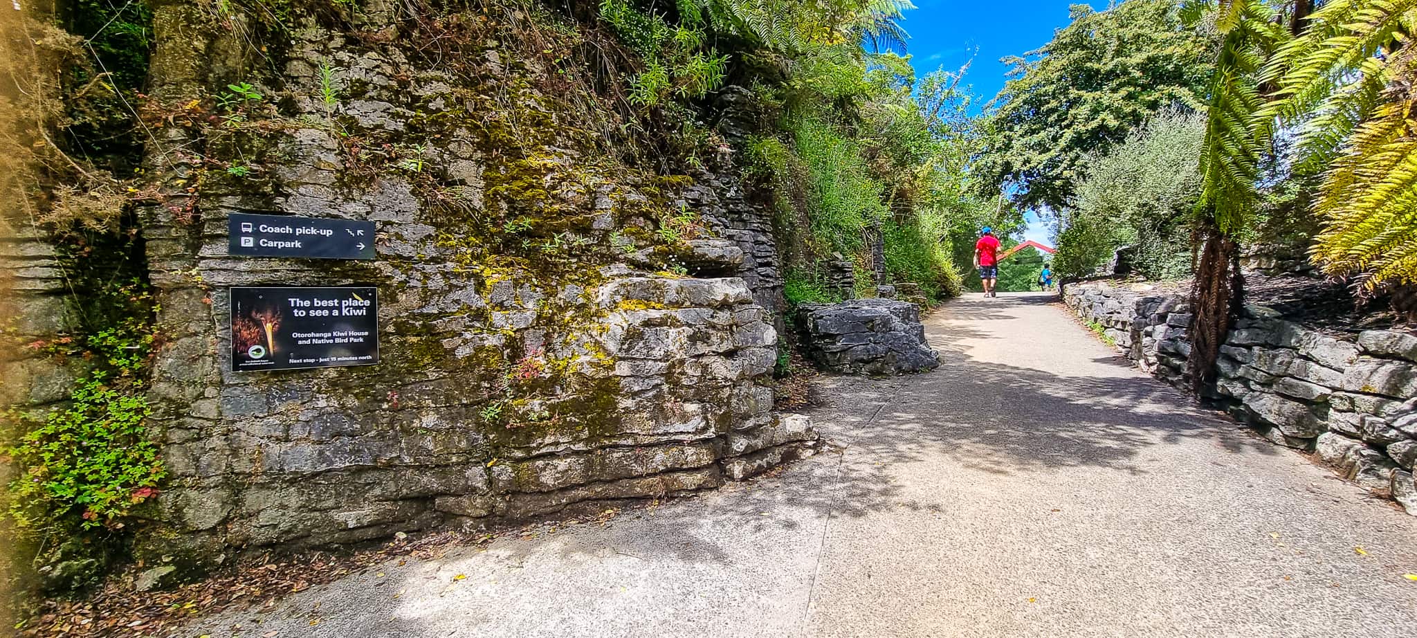 Hobbit Holes at Hobbiton