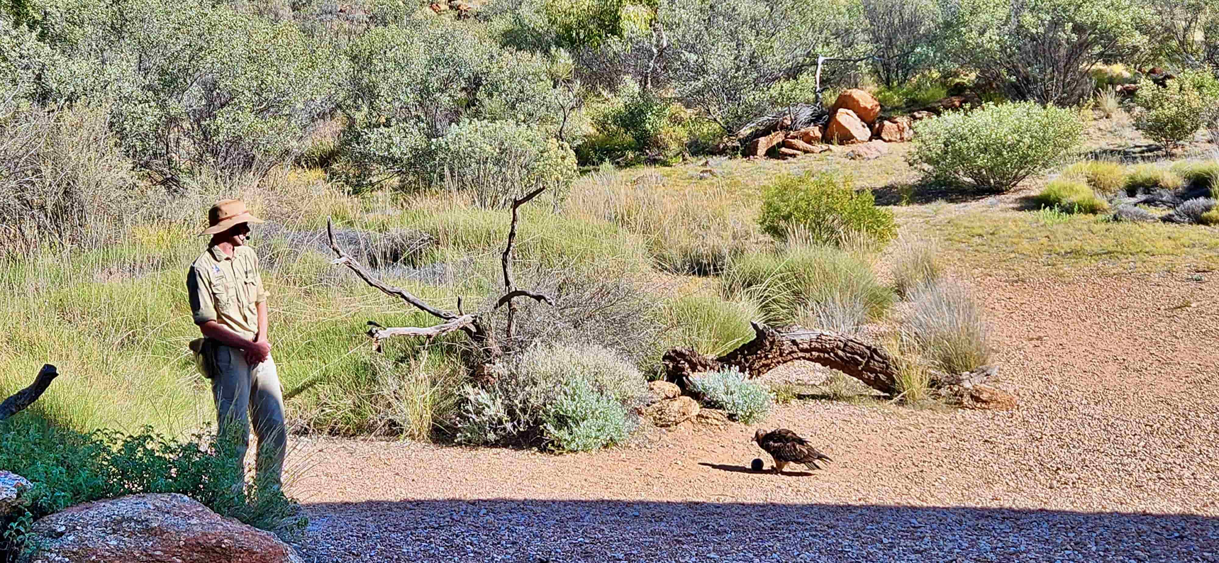 Alice Springs Desert Park Presentations