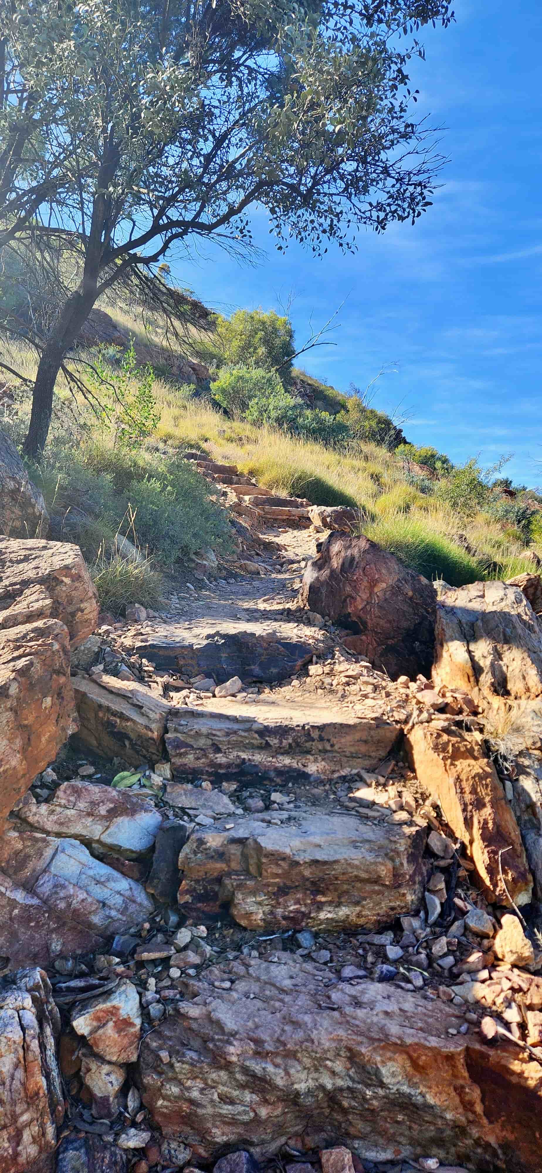 Steep Steps to Serpentine Gorge Lookout