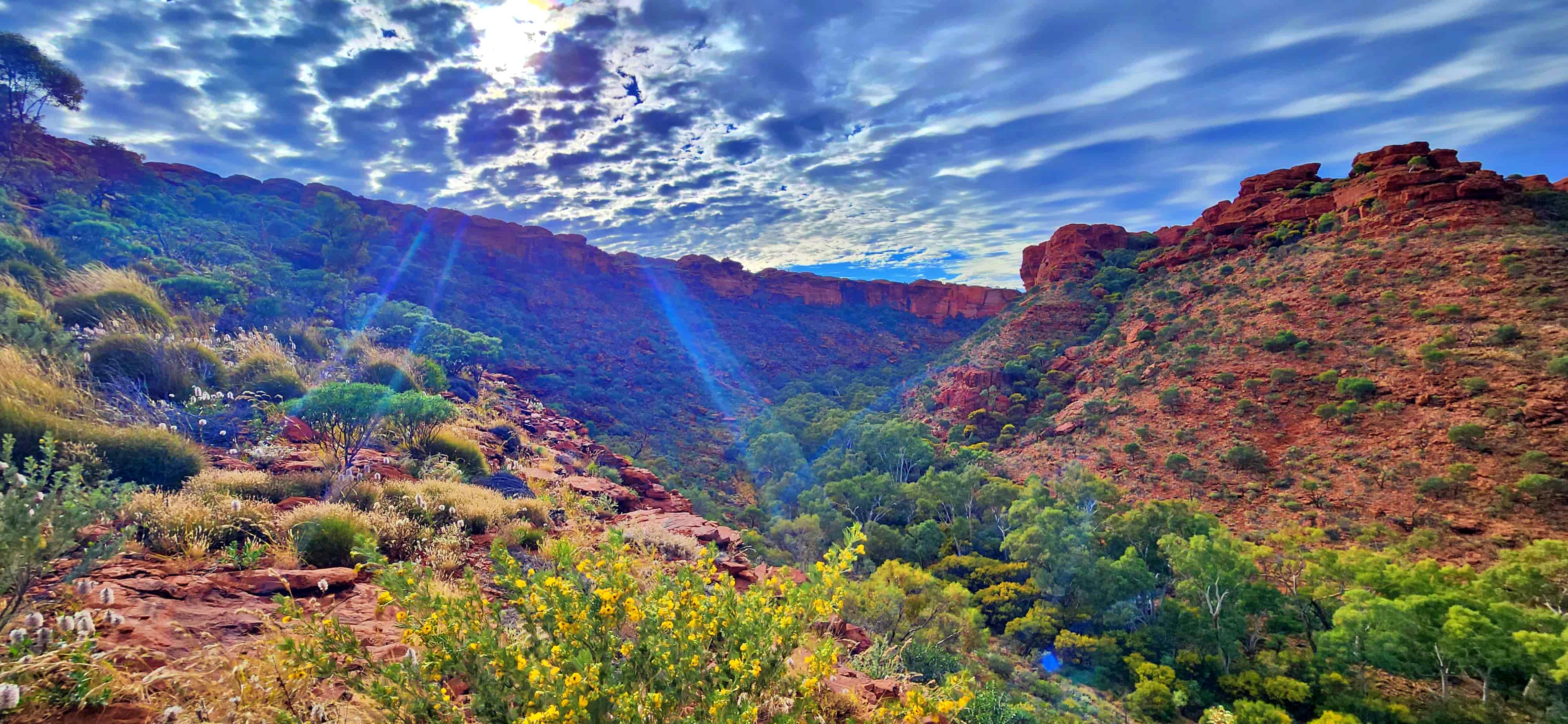 Canyon view from Heart Attack Hill