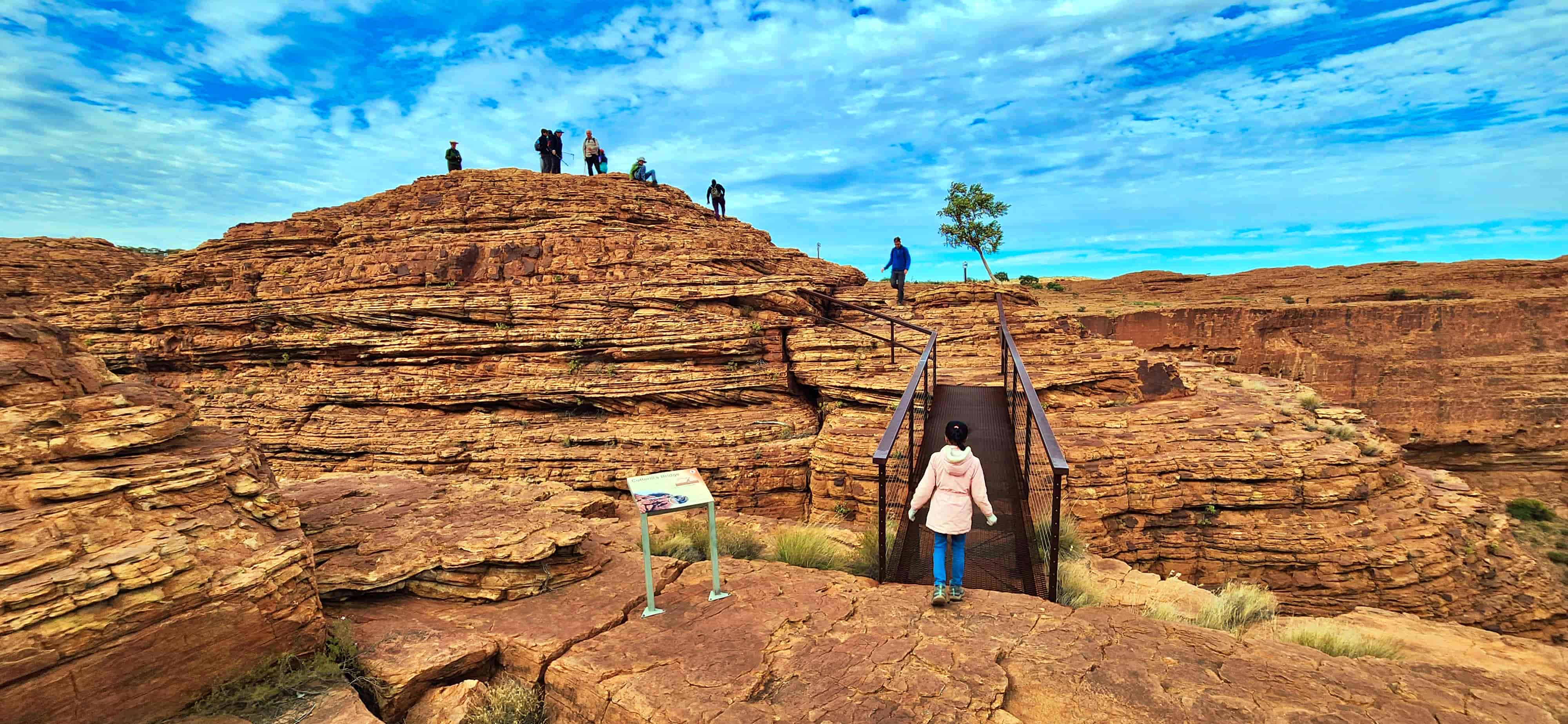 On the way to Cotterills Lookout