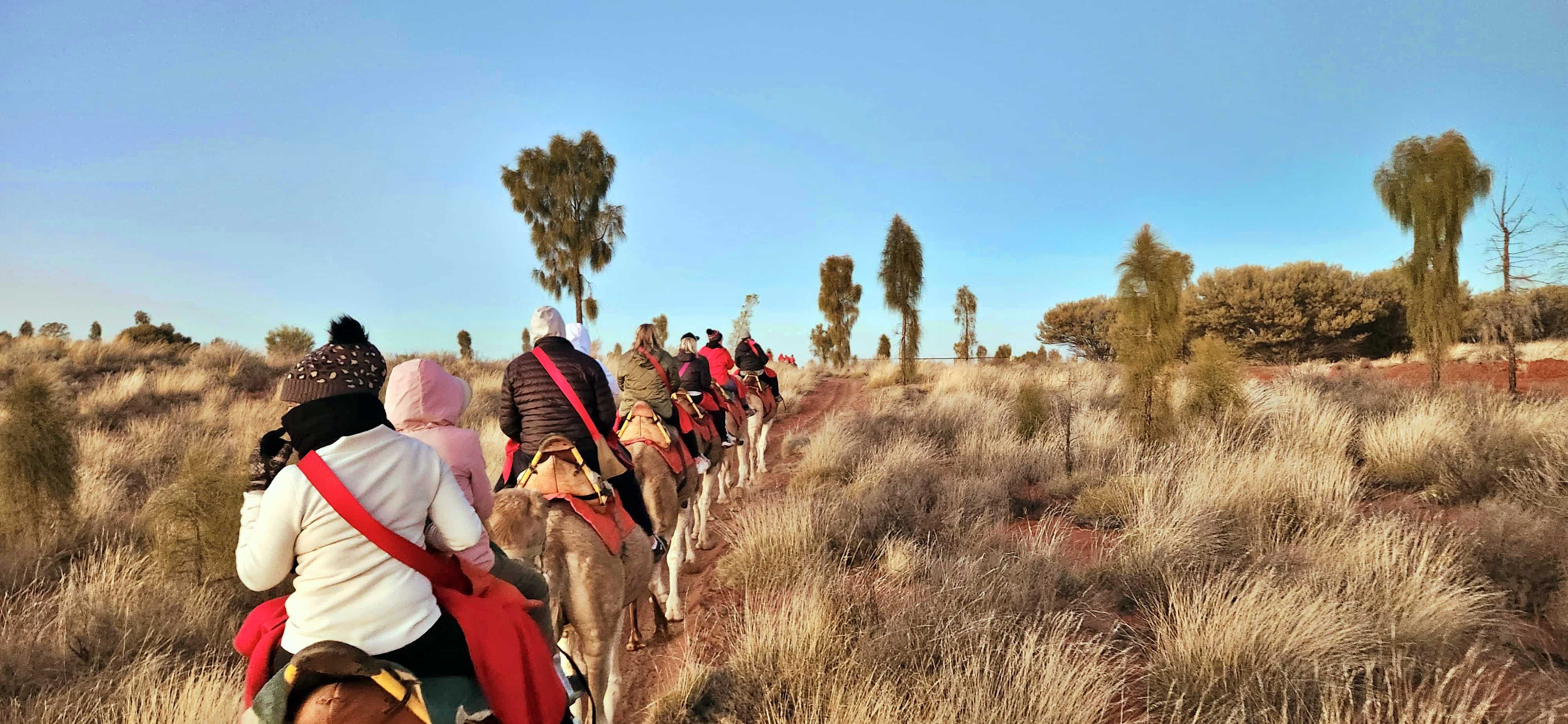 Uluru Camel Sunrise Tour