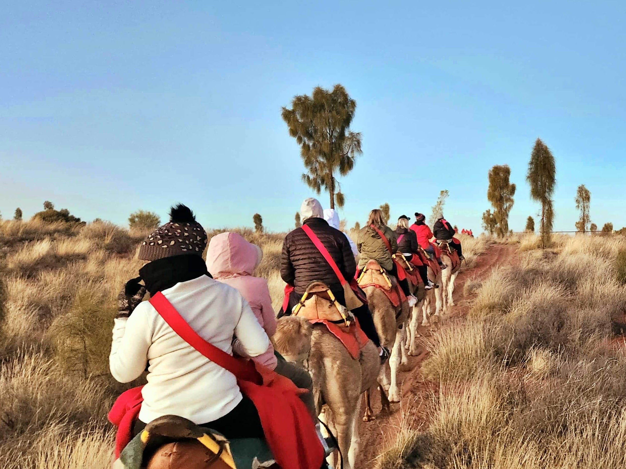 Uluru & Kata Tjuta in 4 Days: The Ultimate Red Centre Itinerary