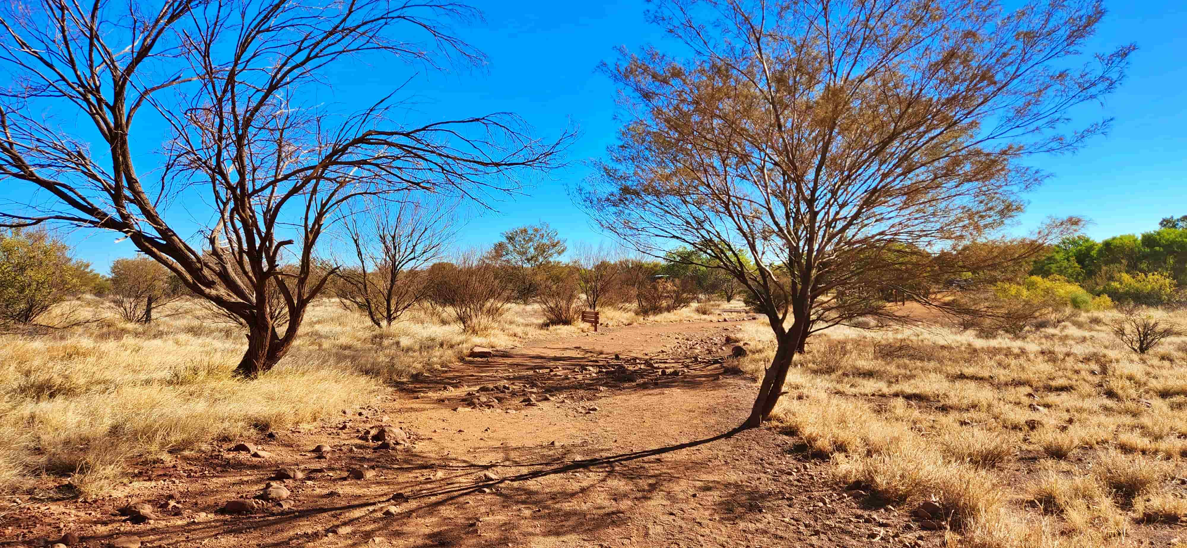 Walpa Gorge Walking Trail