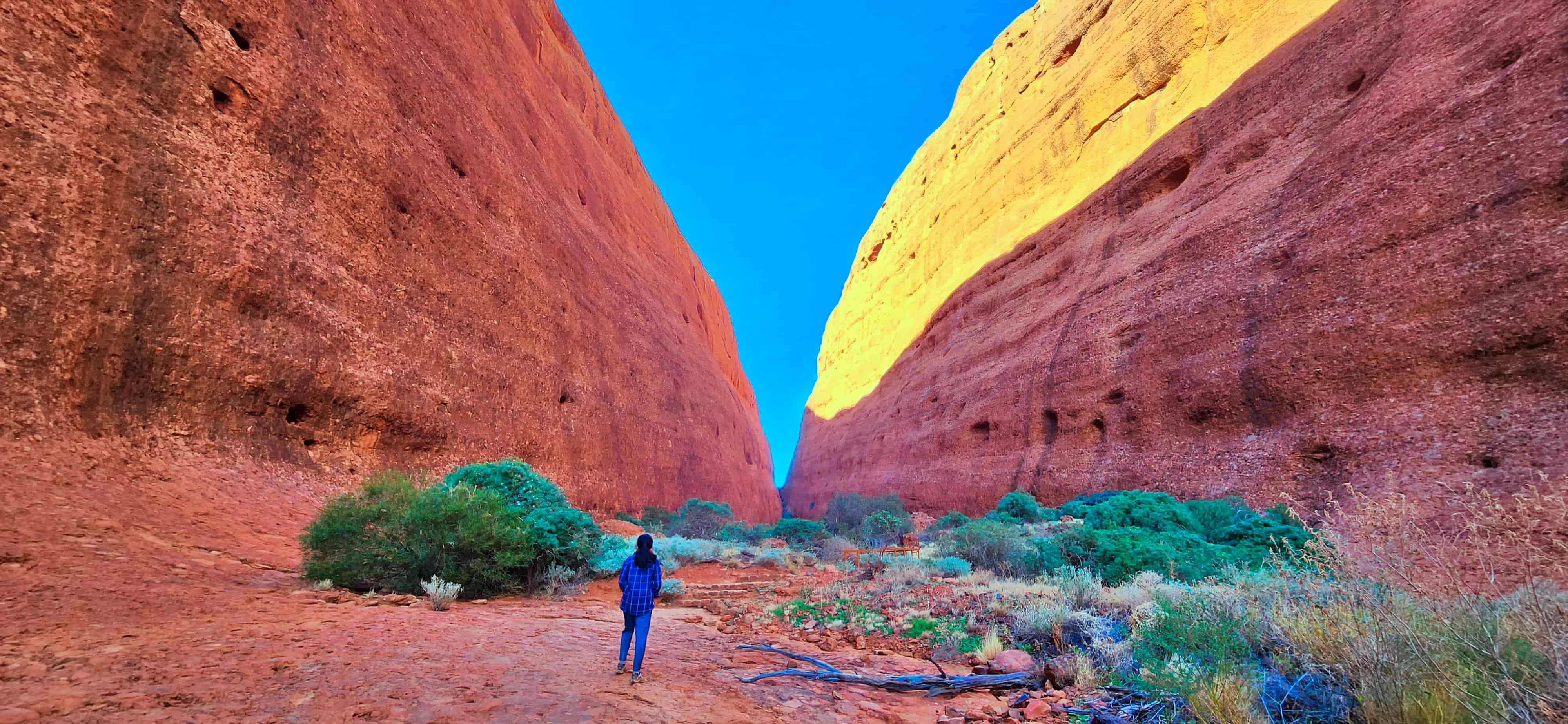 Domes along Walpa Gorge Walk
